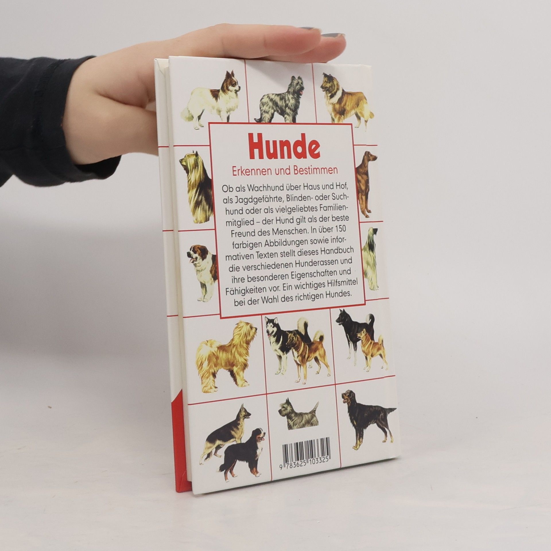 Wendy Boorer Hunde