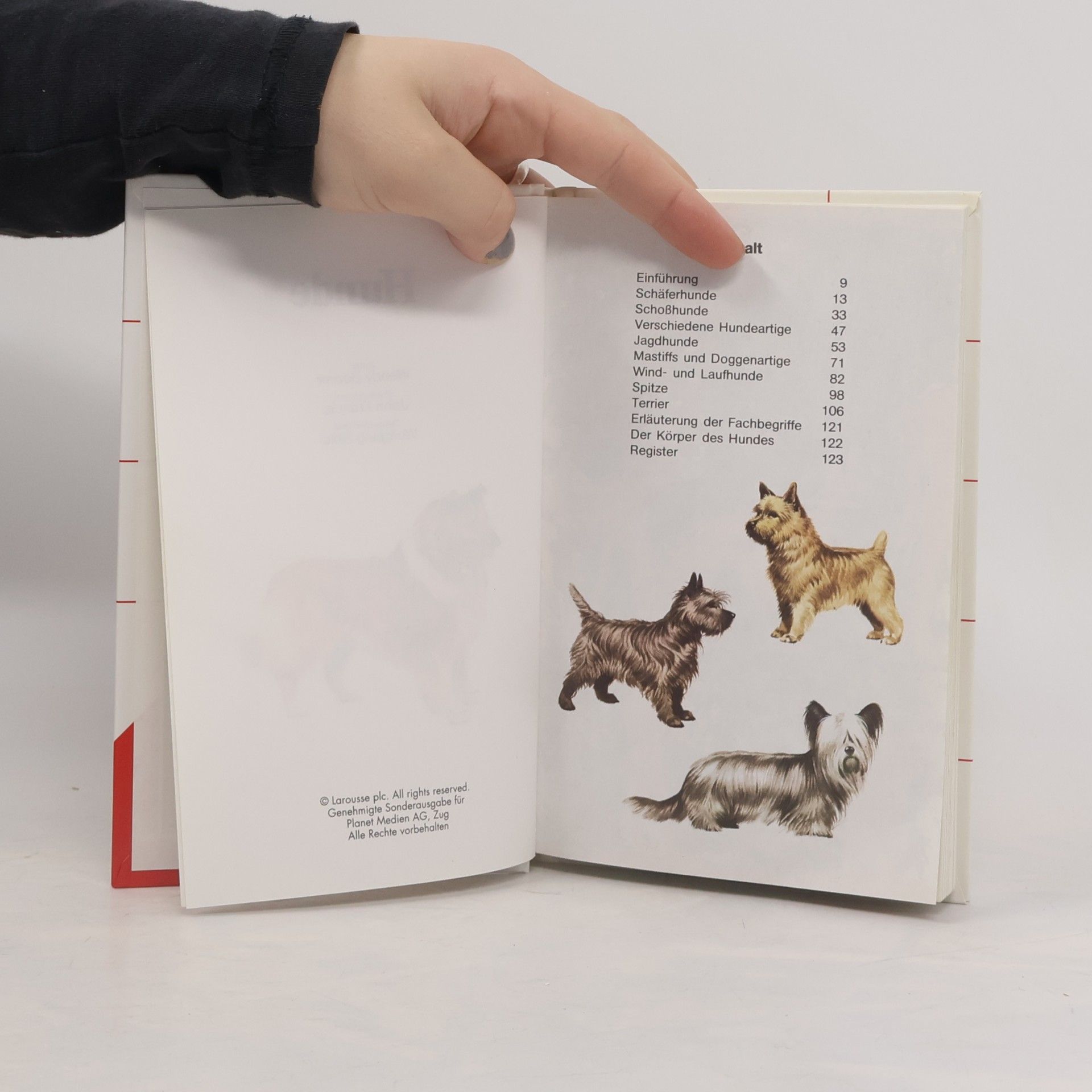 Wendy Boorer Hunde