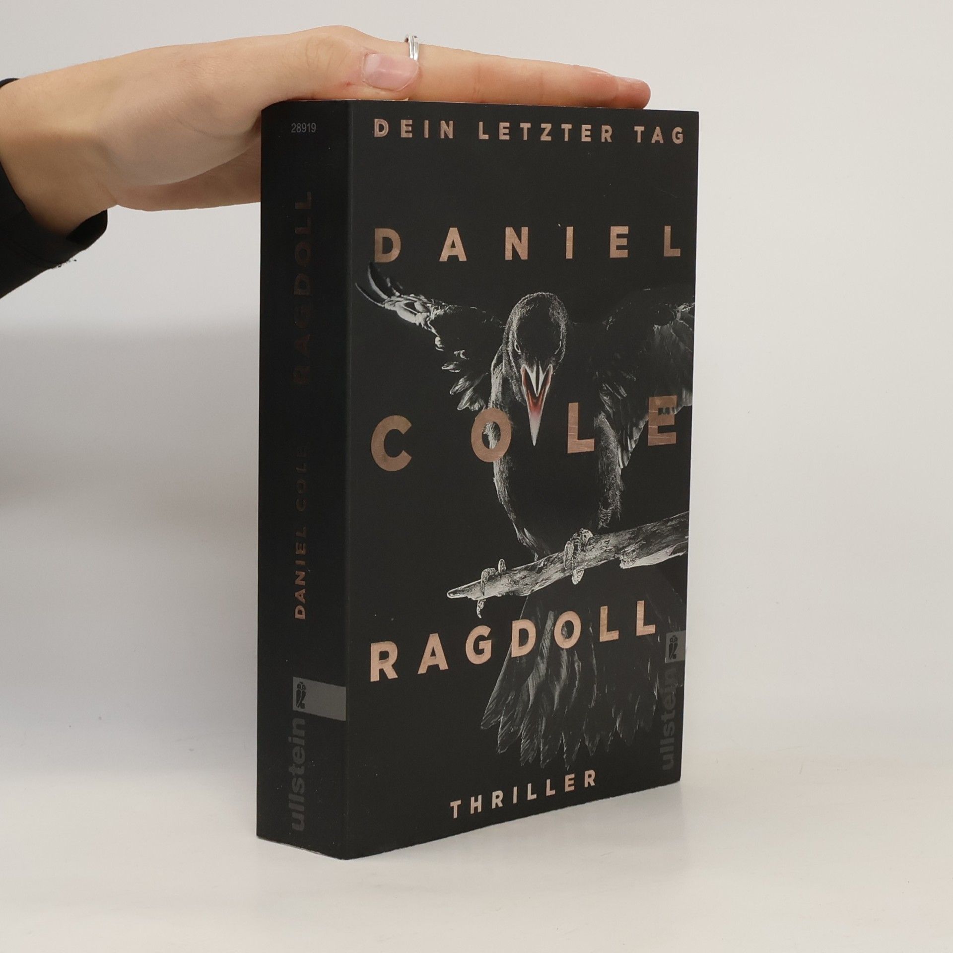 Ragdoll