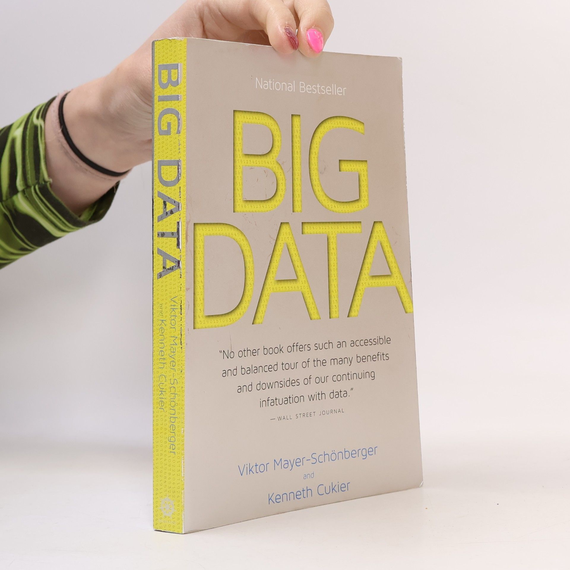 Viktor Mayer-Schönberger Big Data