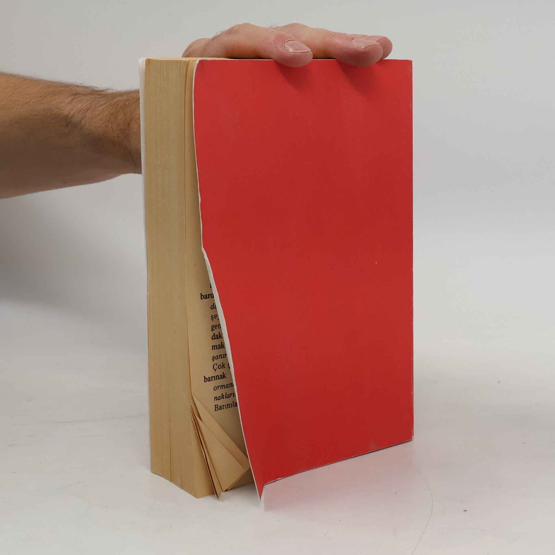 Various authors RESİMLİ İLKOKUL SÖZLÜĞÜ