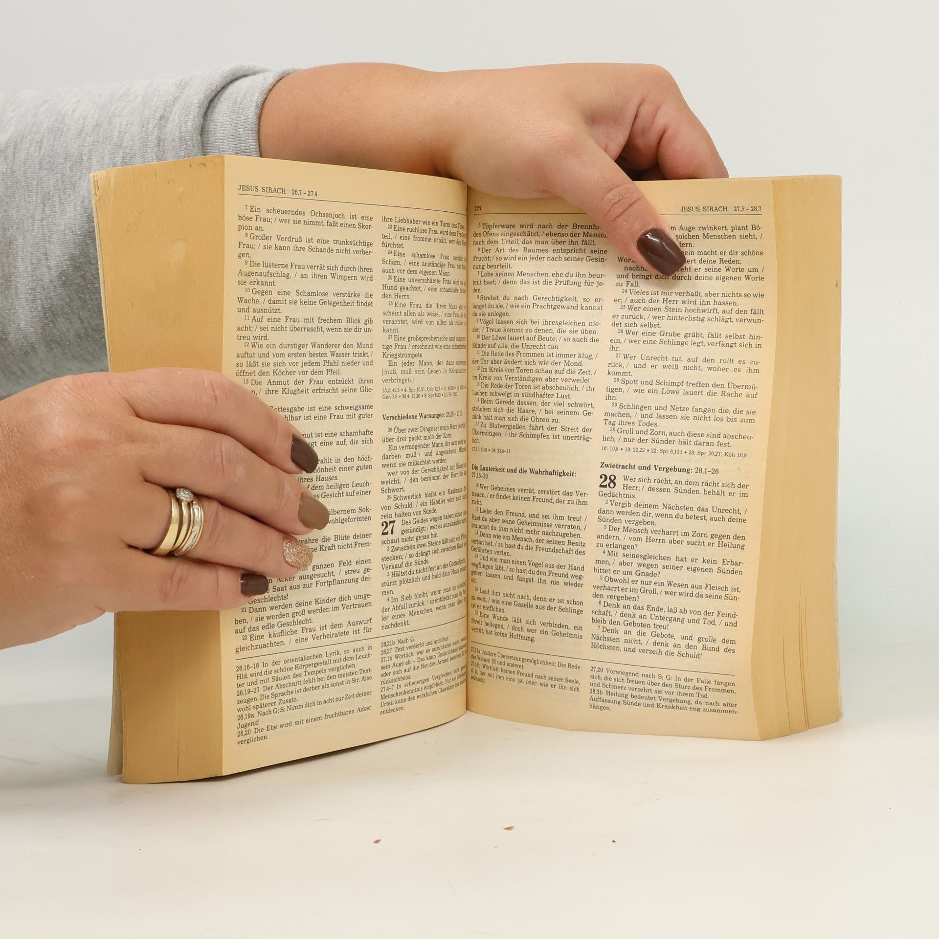 Kolektiv autorů Die Bibel