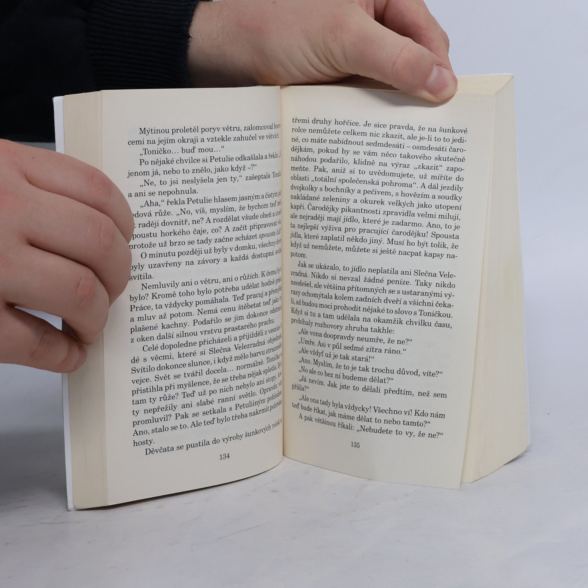 Terry Pratchett Zimoděj