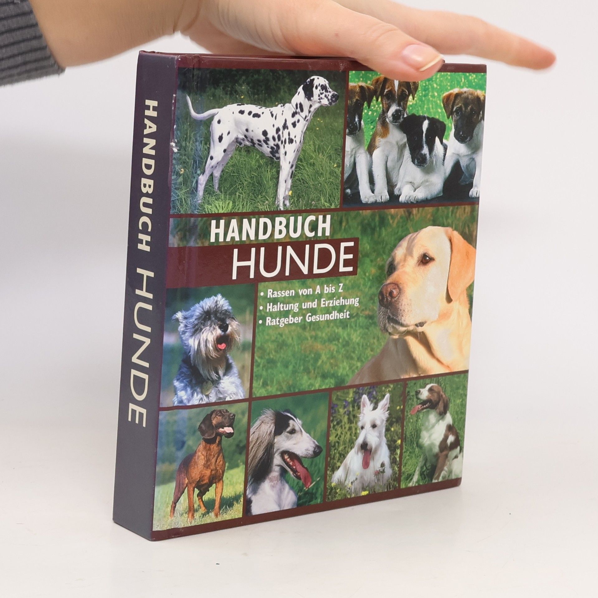 Kolektiv autorů Handbuch Hunde