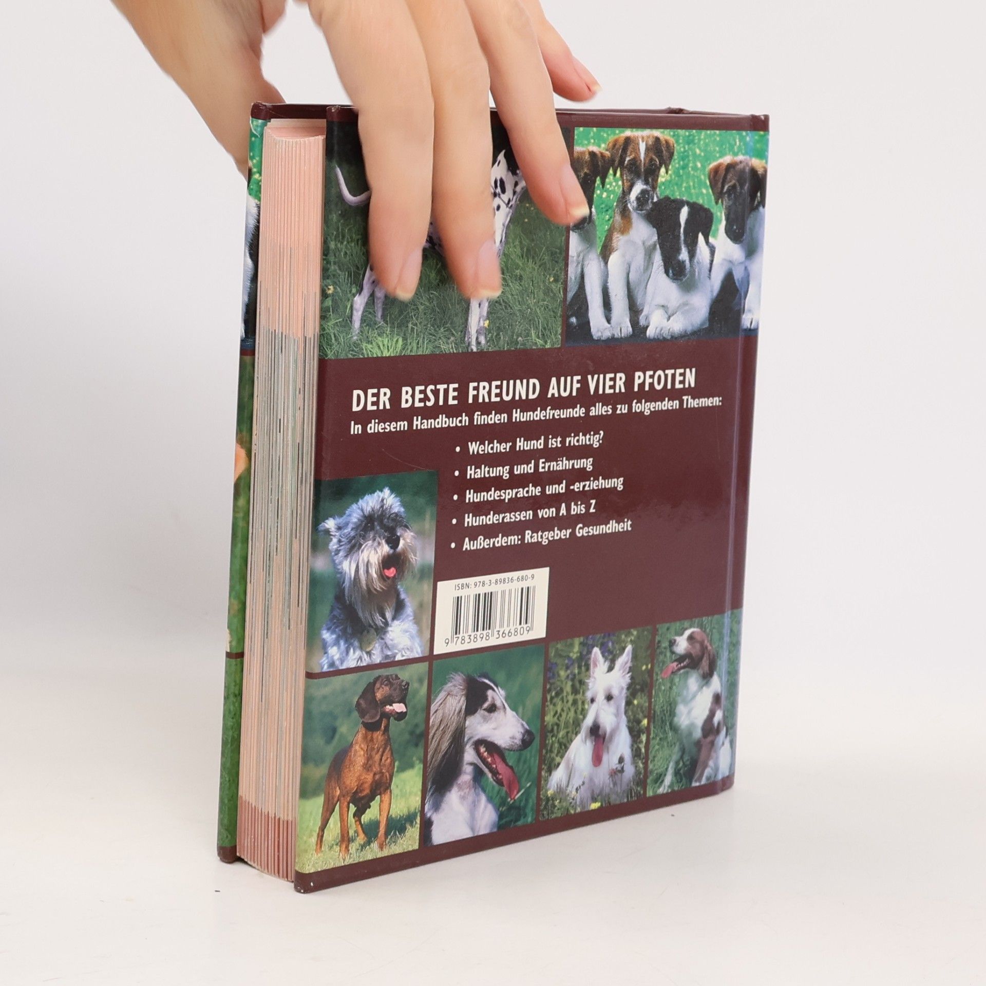 Kolektiv autorů Handbuch Hunde