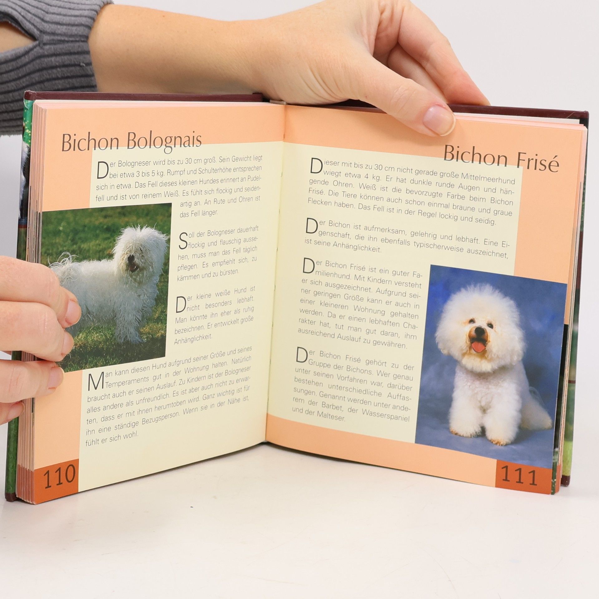 Kolektiv autorů Handbuch Hunde