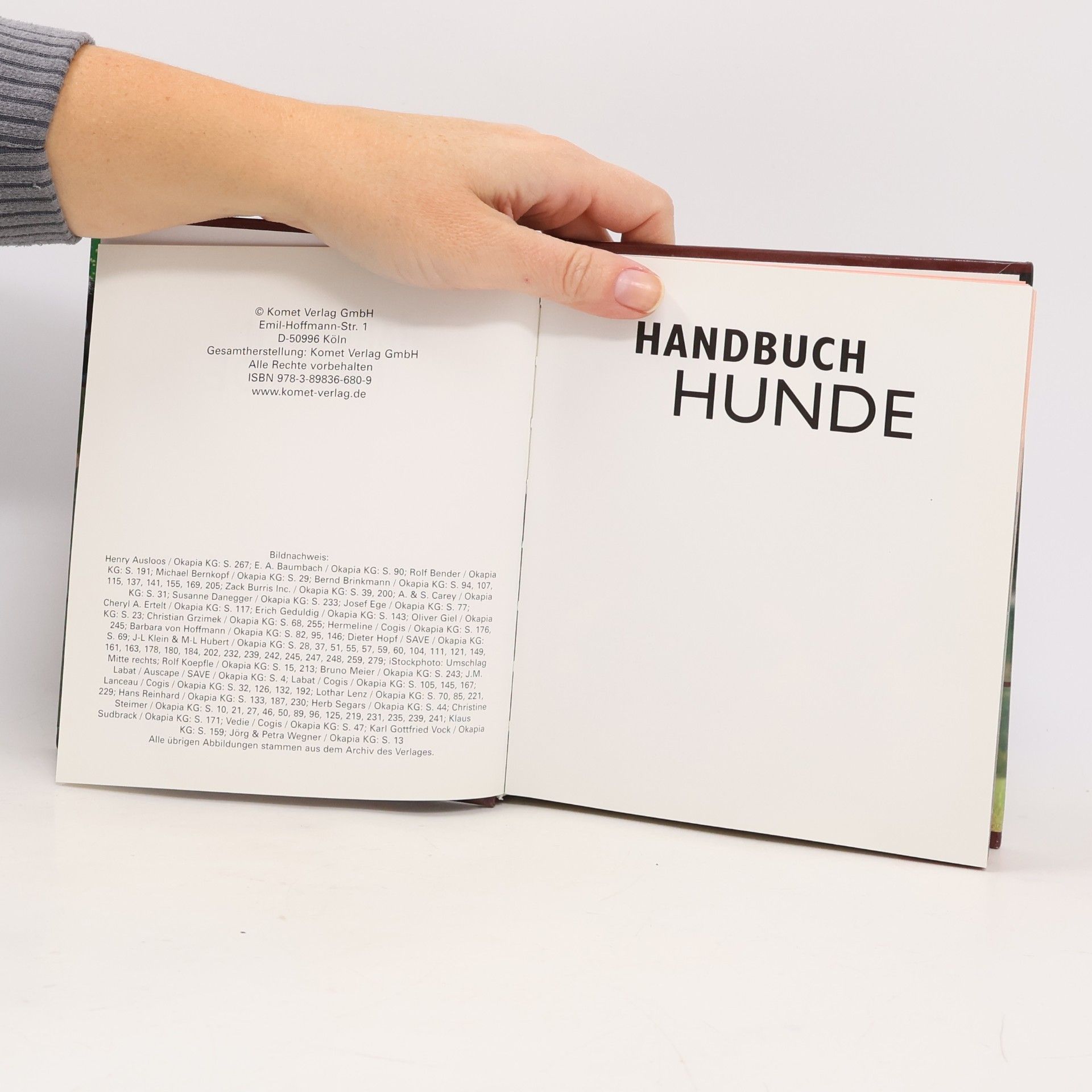 Kolektiv autorů Handbuch Hunde