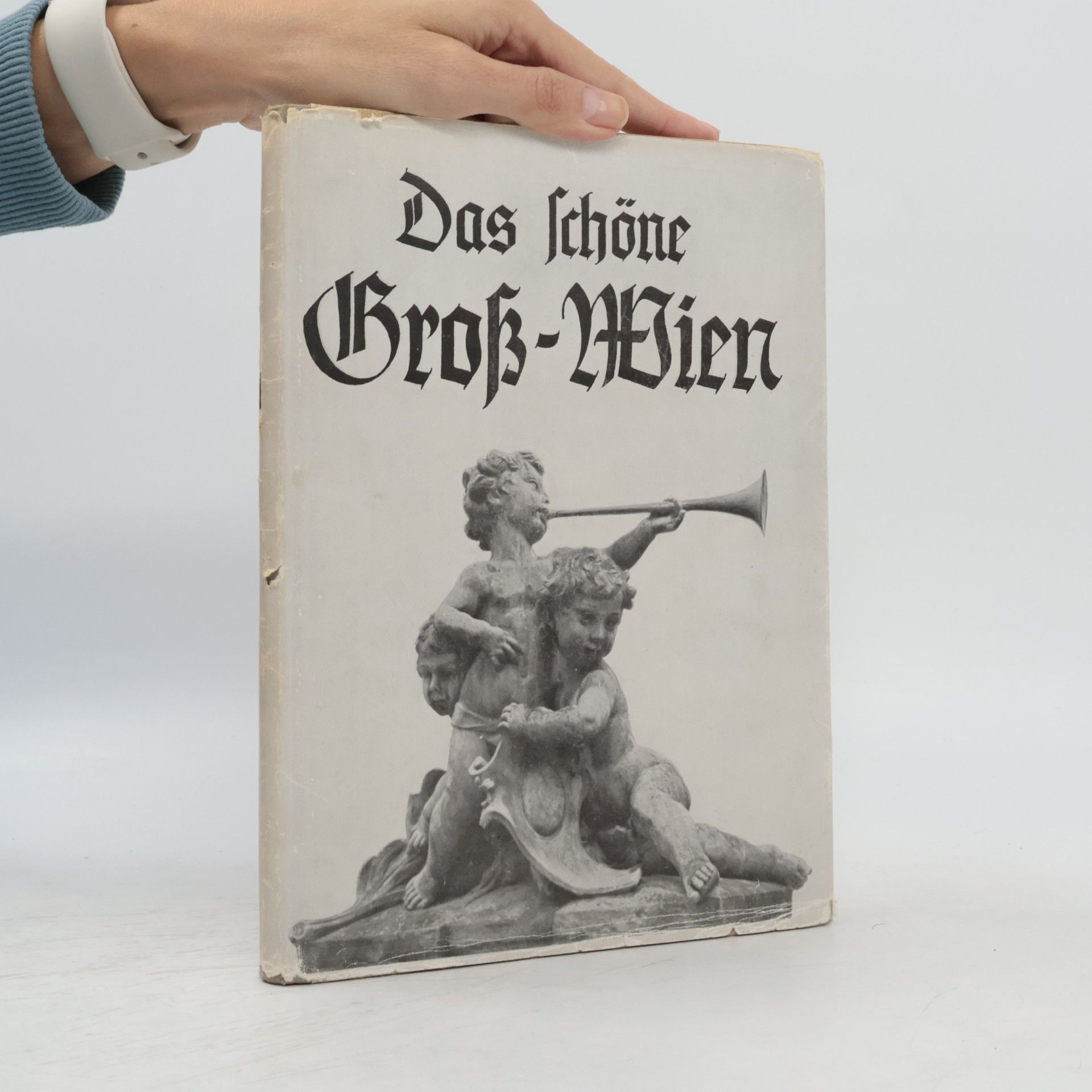 Das schöne Groß-Wien