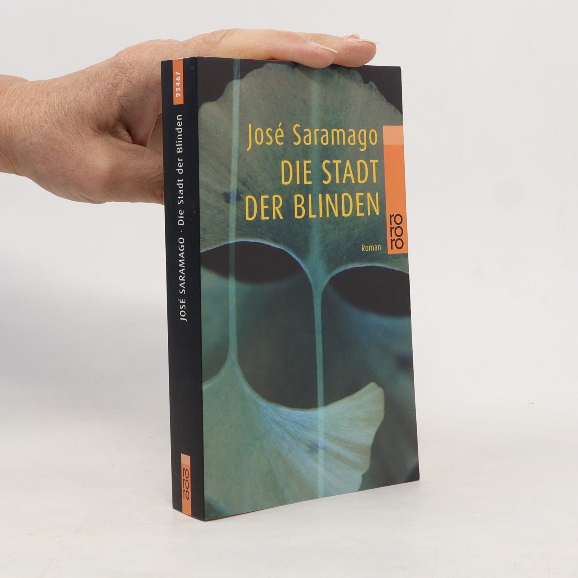 Die Stadt der Blinden