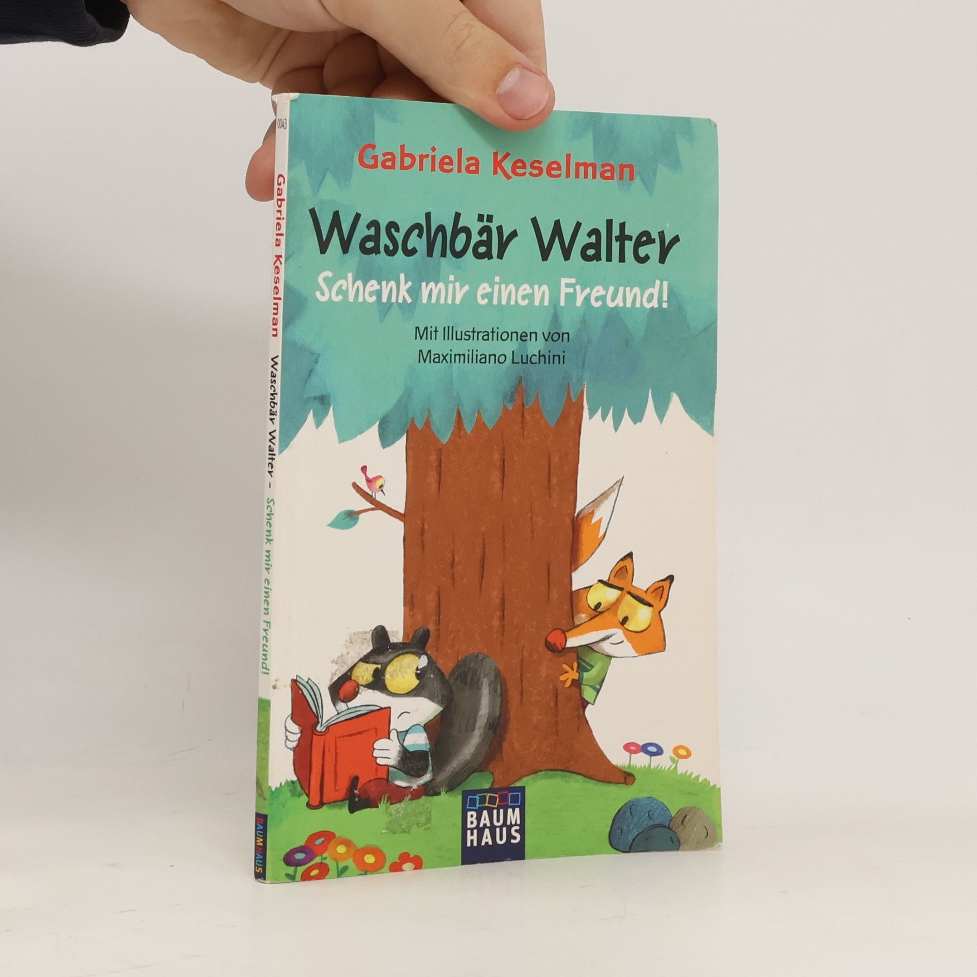 Waschbär Walter