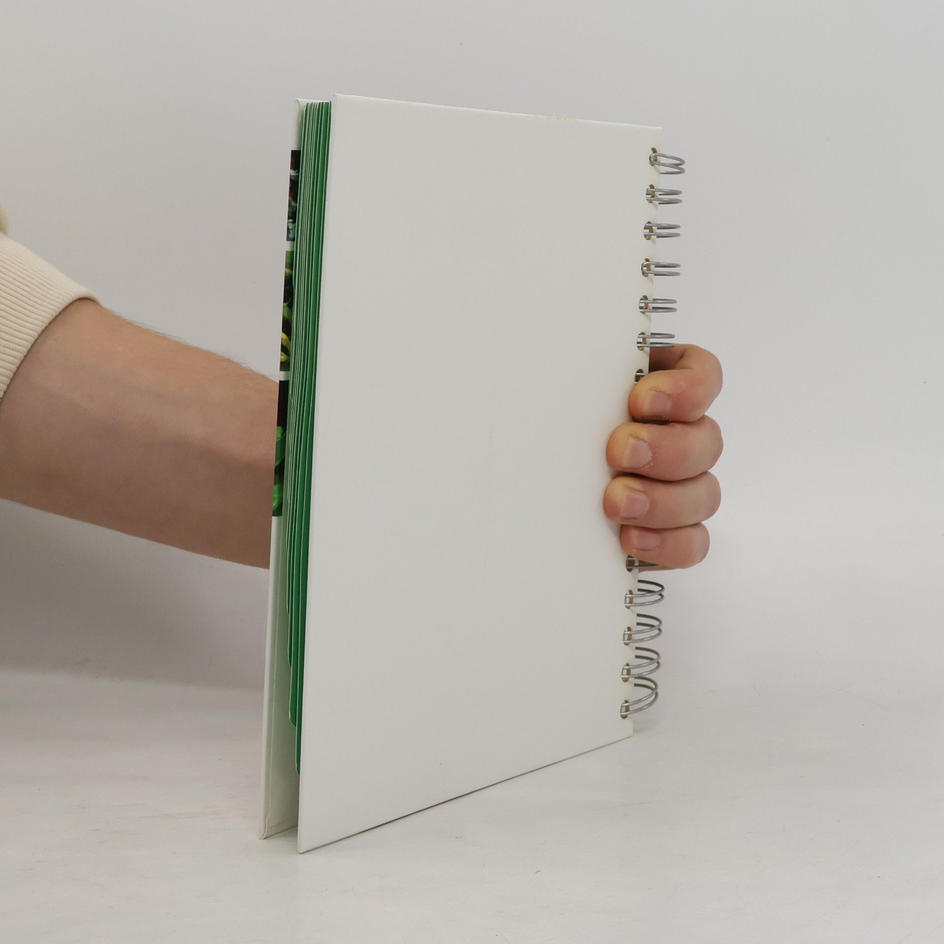 Various authors Compendium