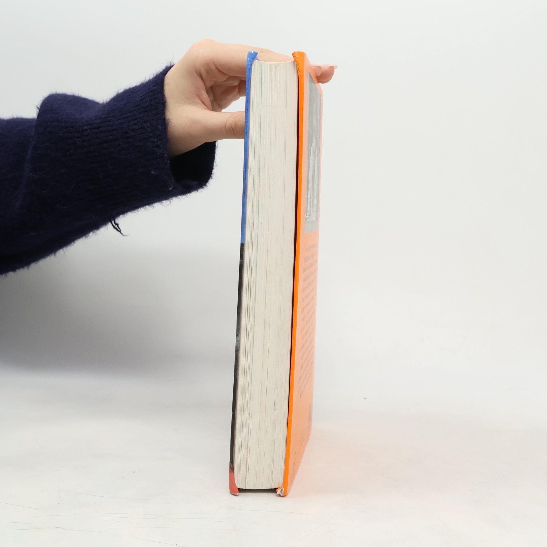 Christine Nöstlinger Das grosse Nöstlinger-Lesebuch