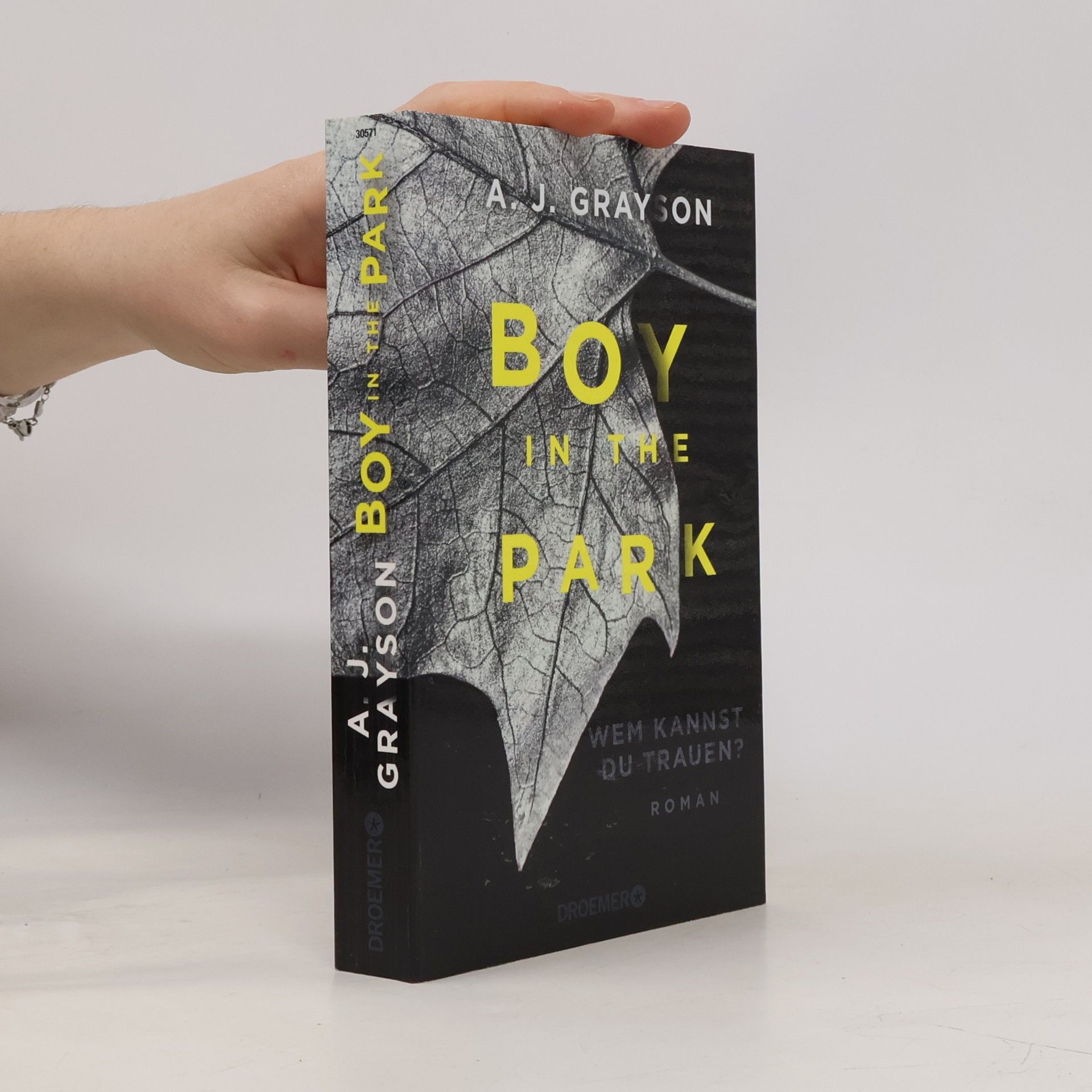 A. J. Grayson Boy in the park