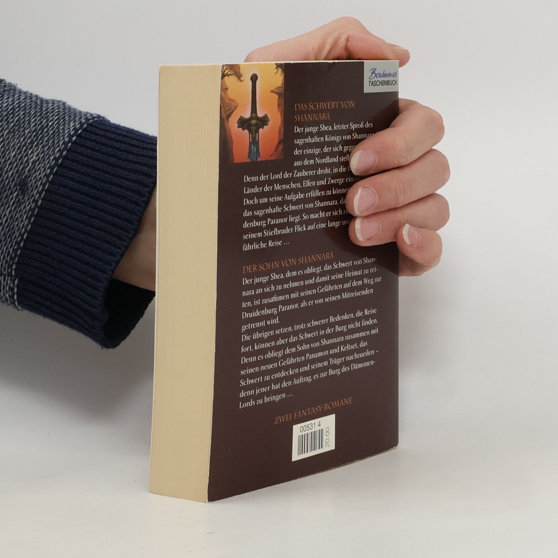 Terry Brooks Das Schwert von Shannara. Der Sohn von Shannara