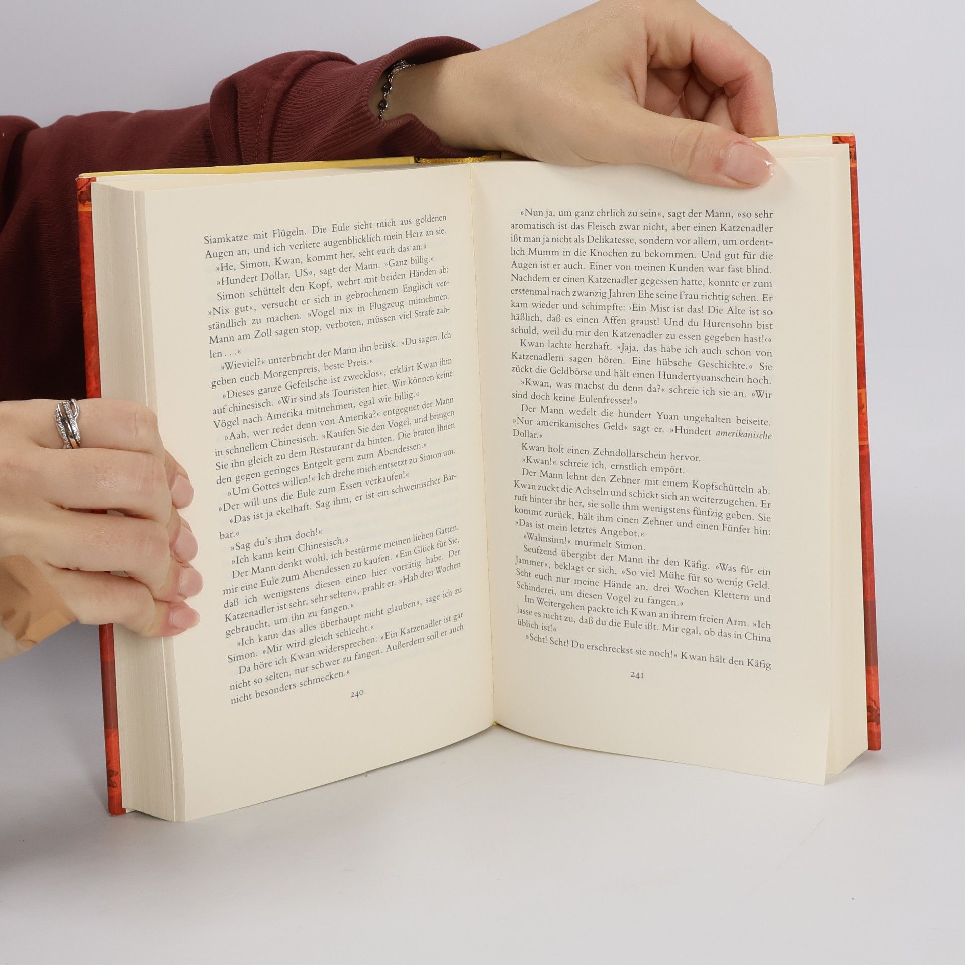 Amy Tan Die hundert verborgenen Sinne