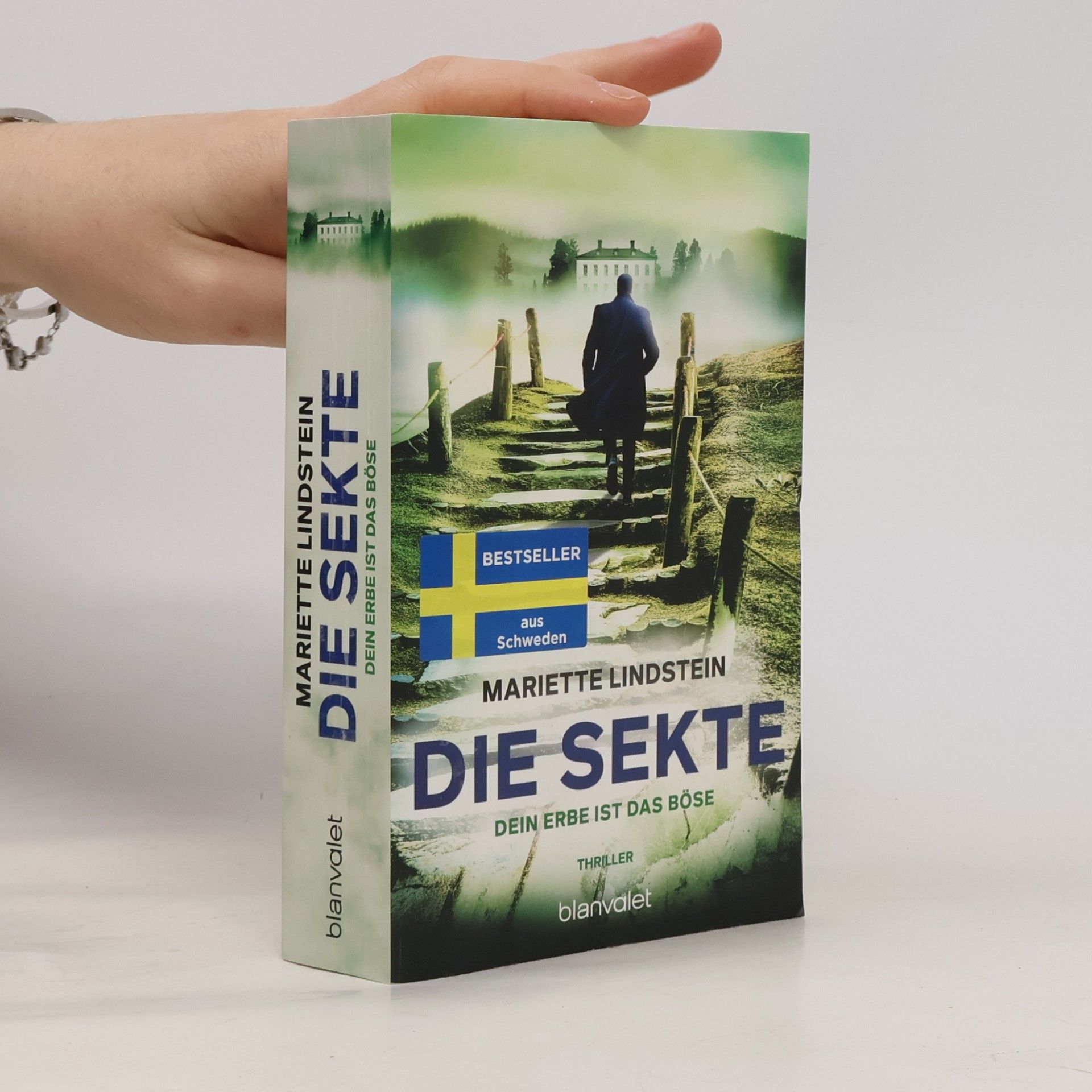 Die Sekte – Dein Erbe ist das Böse. Thriller
