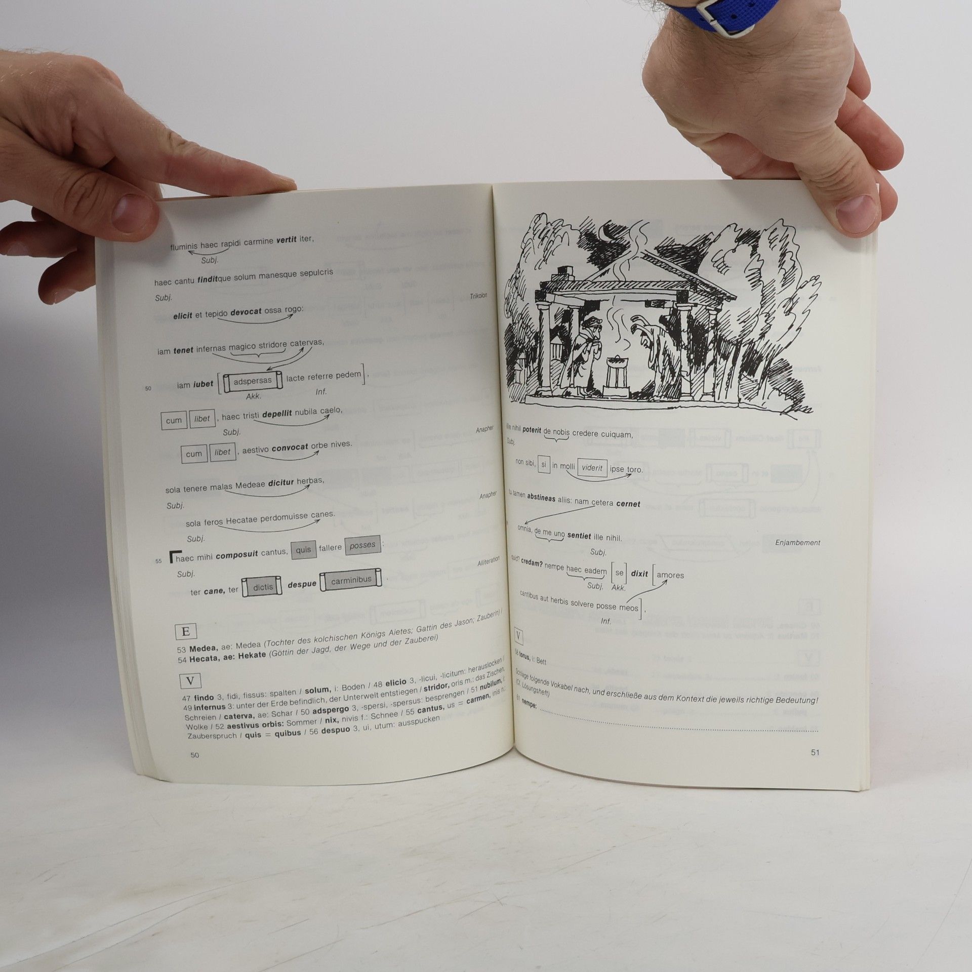 Maria Anna Steiner-Klement Autorenlektüre: Latein positiv!