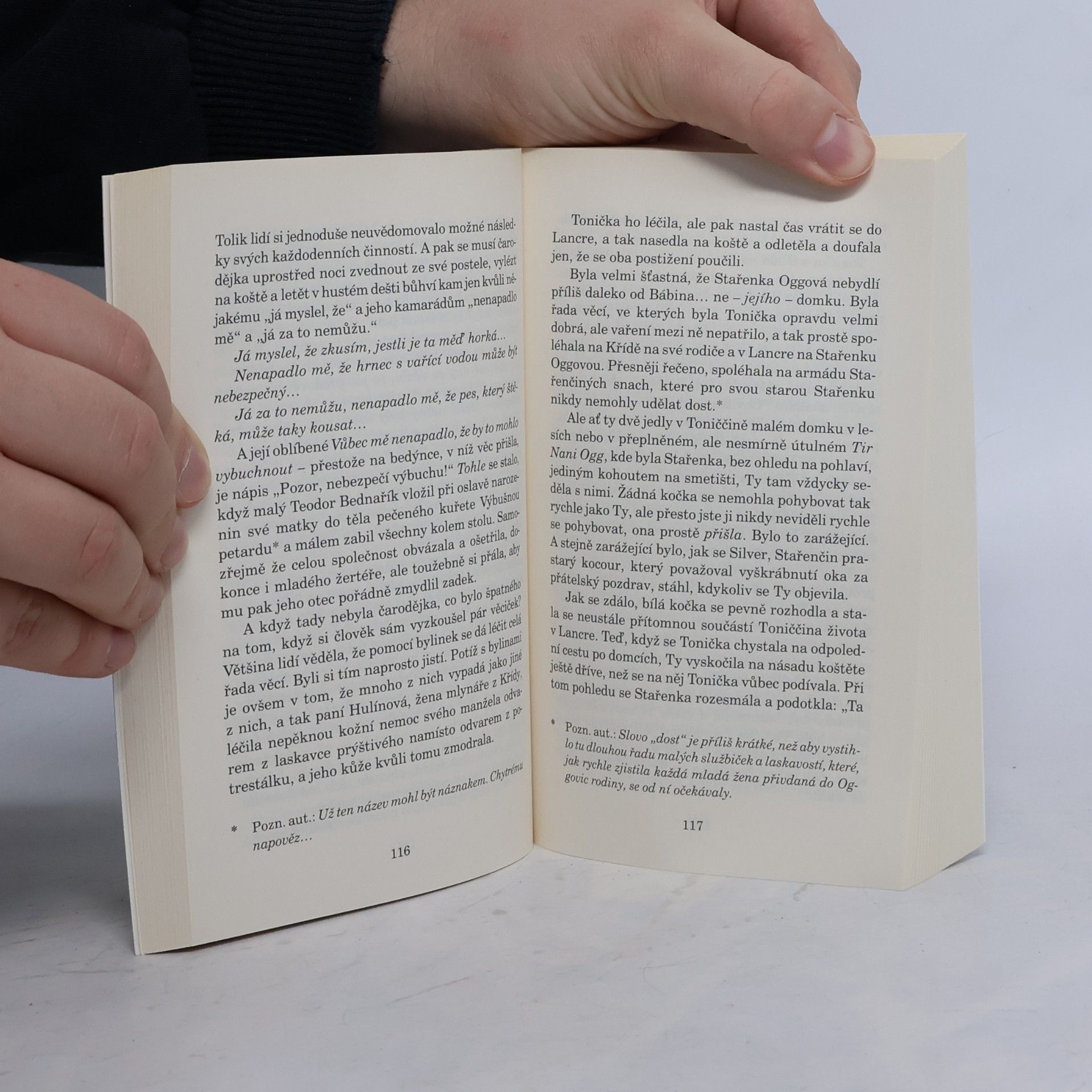 Terry Pratchett Pastýřská koruna