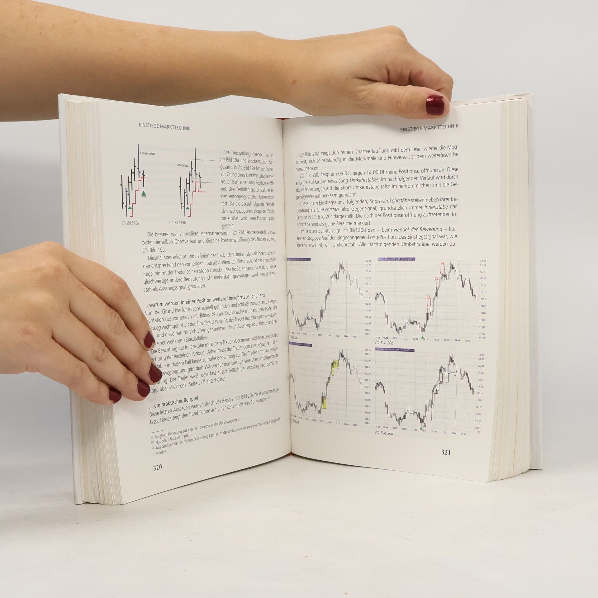 Michael Voigt Das große Buch der Markttechnik