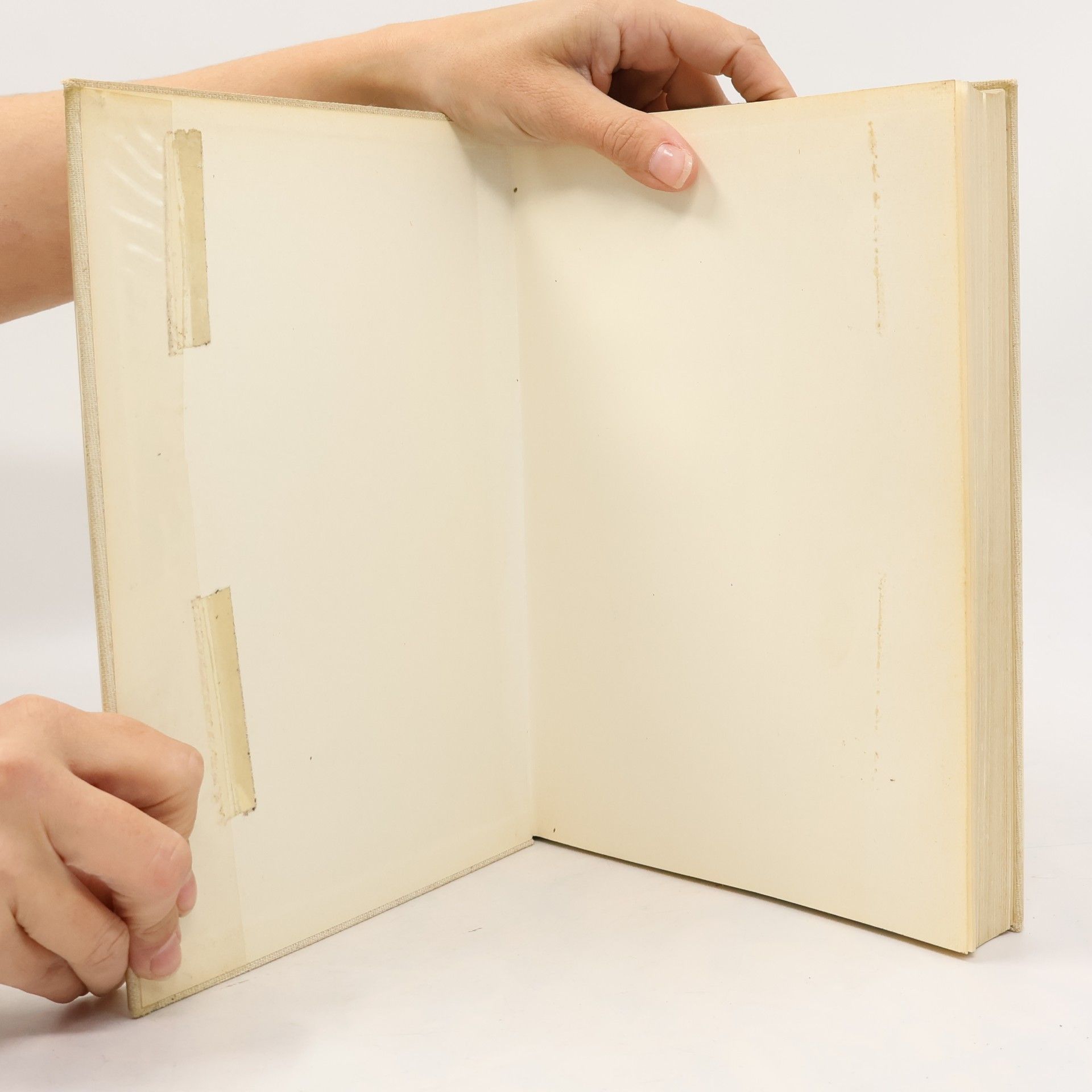 A. Waldeyer Anatomie des Menschen 1