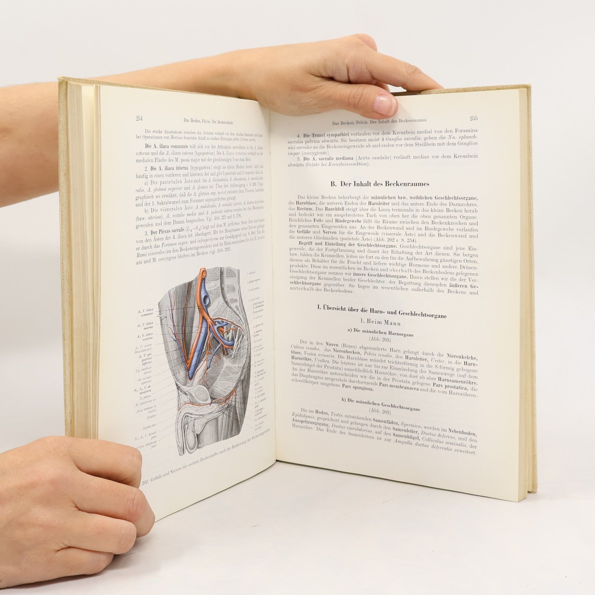 A. Waldeyer Anatomie des Menschen 1