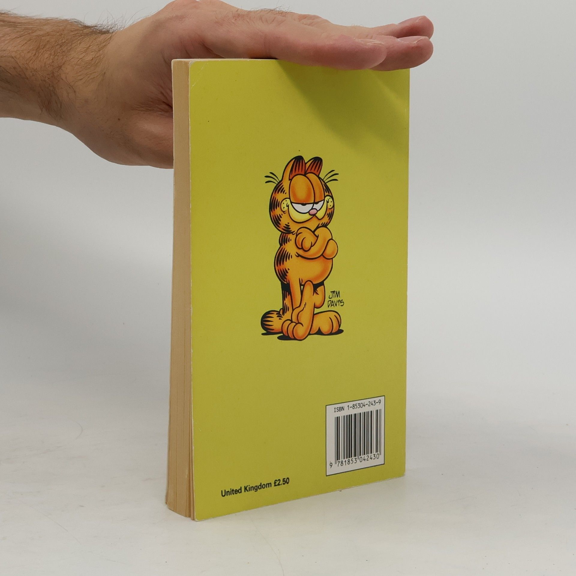 Jim Davis Garfield