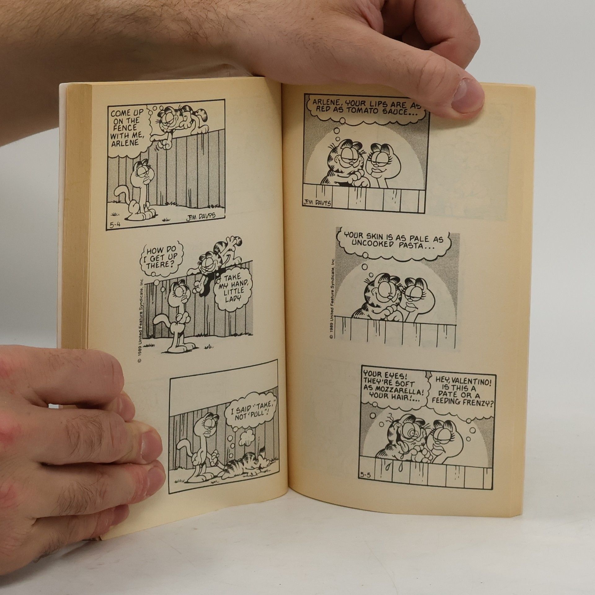 Jim Davis Garfield