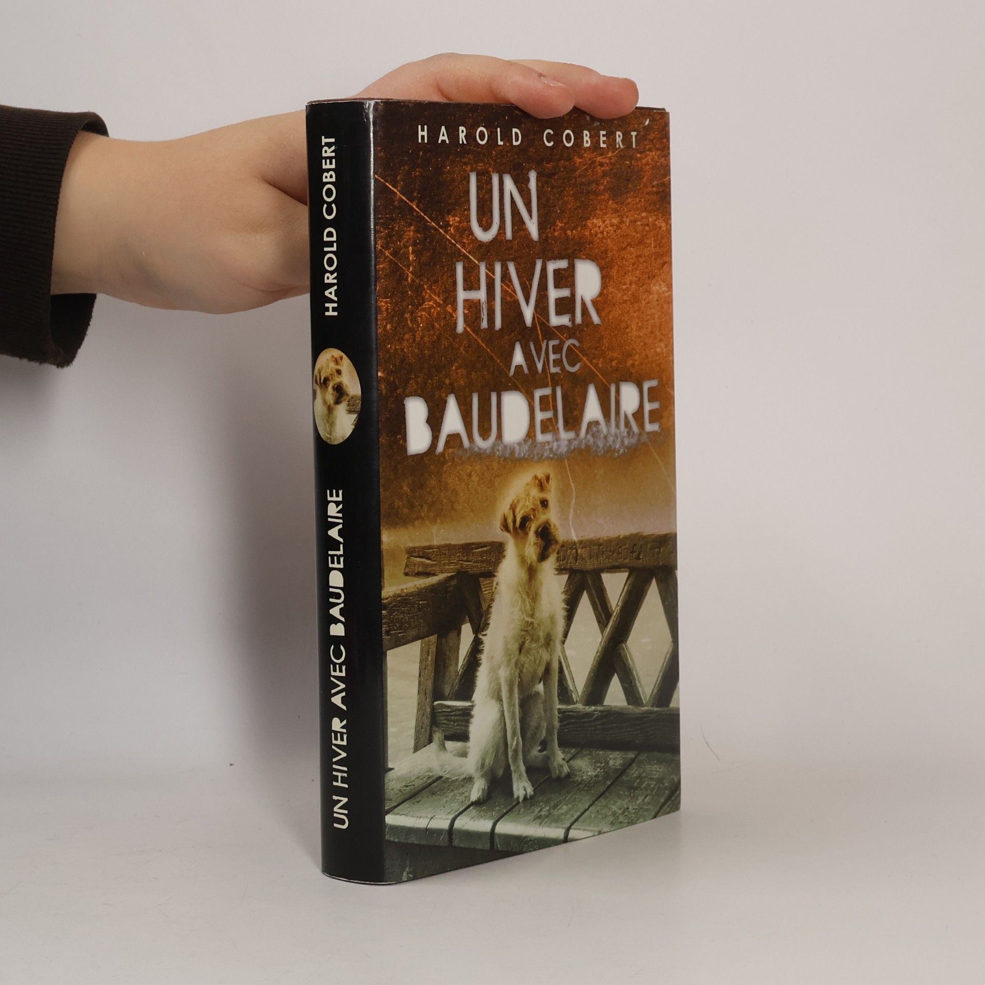 Harold Cobert Un hiver avec Baudelaire