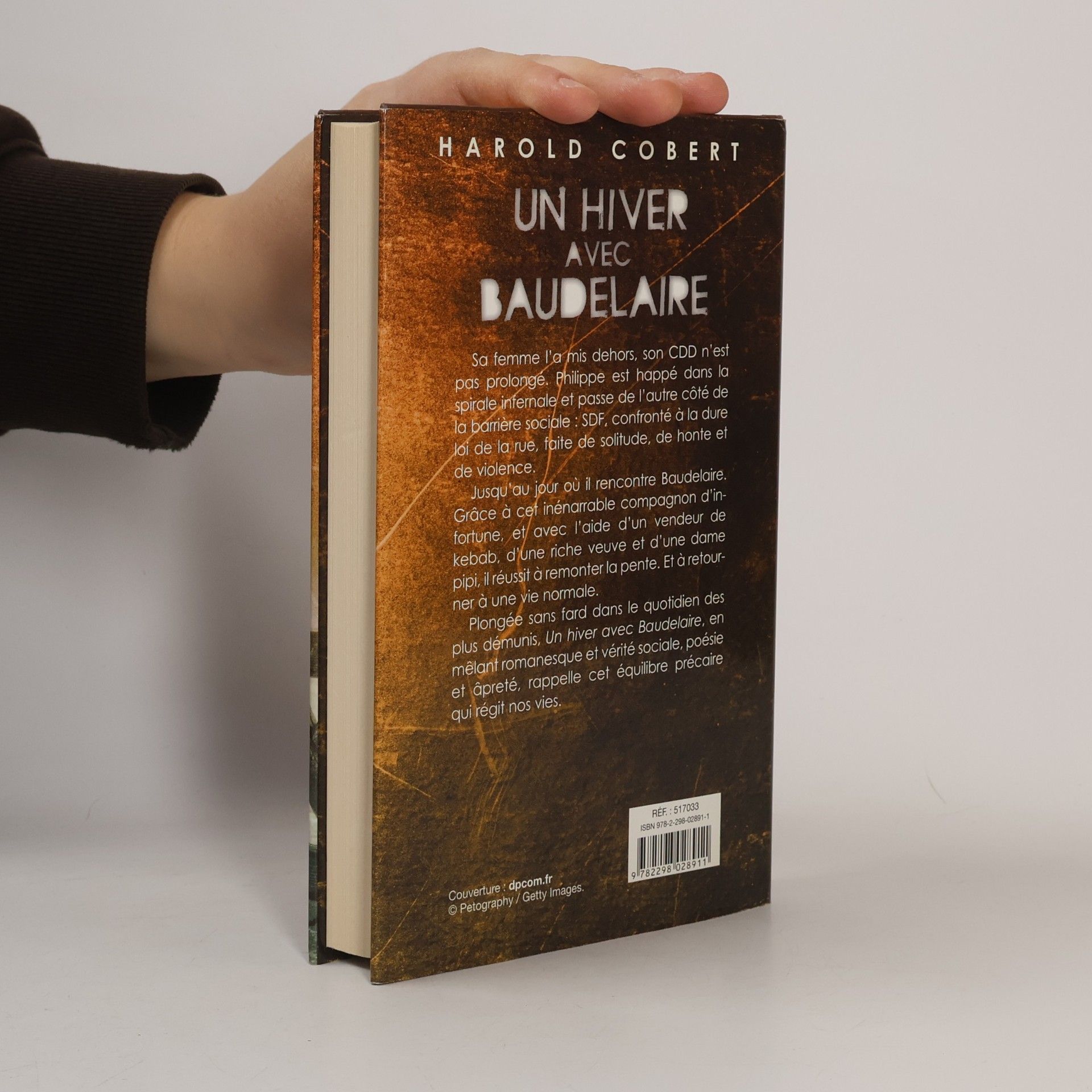 Harold Cobert Un hiver avec Baudelaire