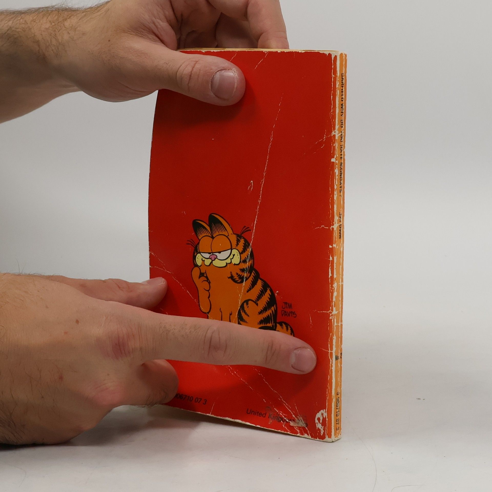 Jim Davis Garfield: Why do you hate Mondays?