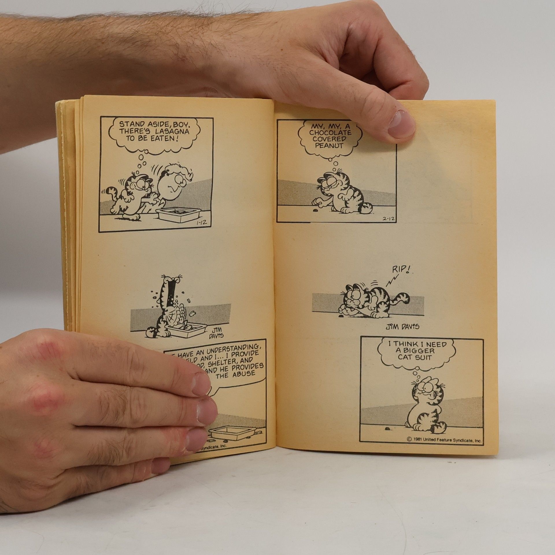 Jim Davis Garfield: Why do you hate Mondays?