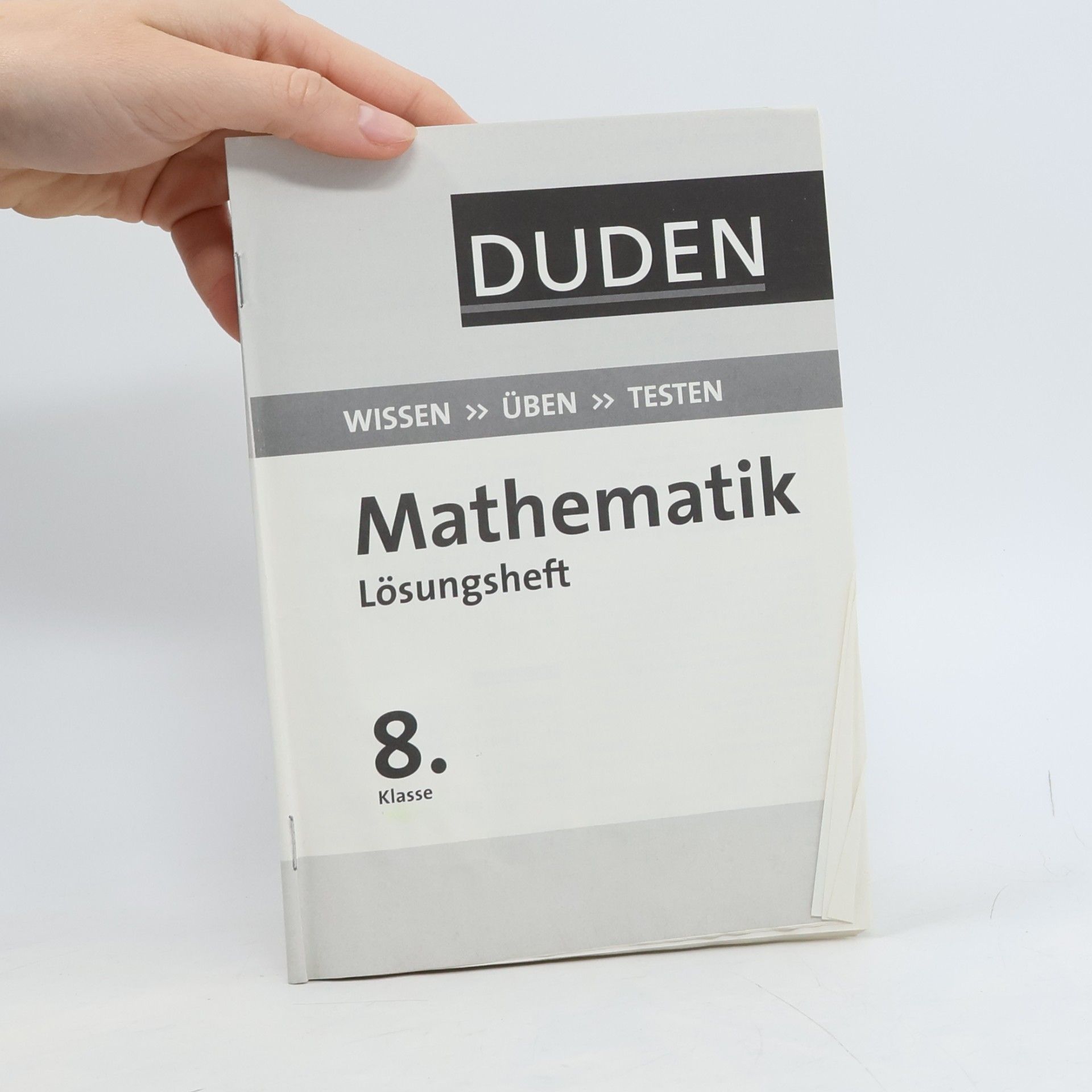 Karin Hantschel Wissen - Üben - Testen: Mathematik 8. Klasse
