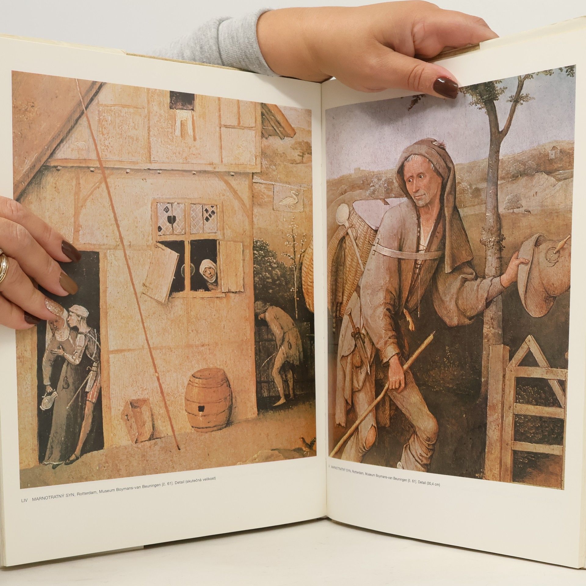 Dino Buzzati Hieronymus Bosch