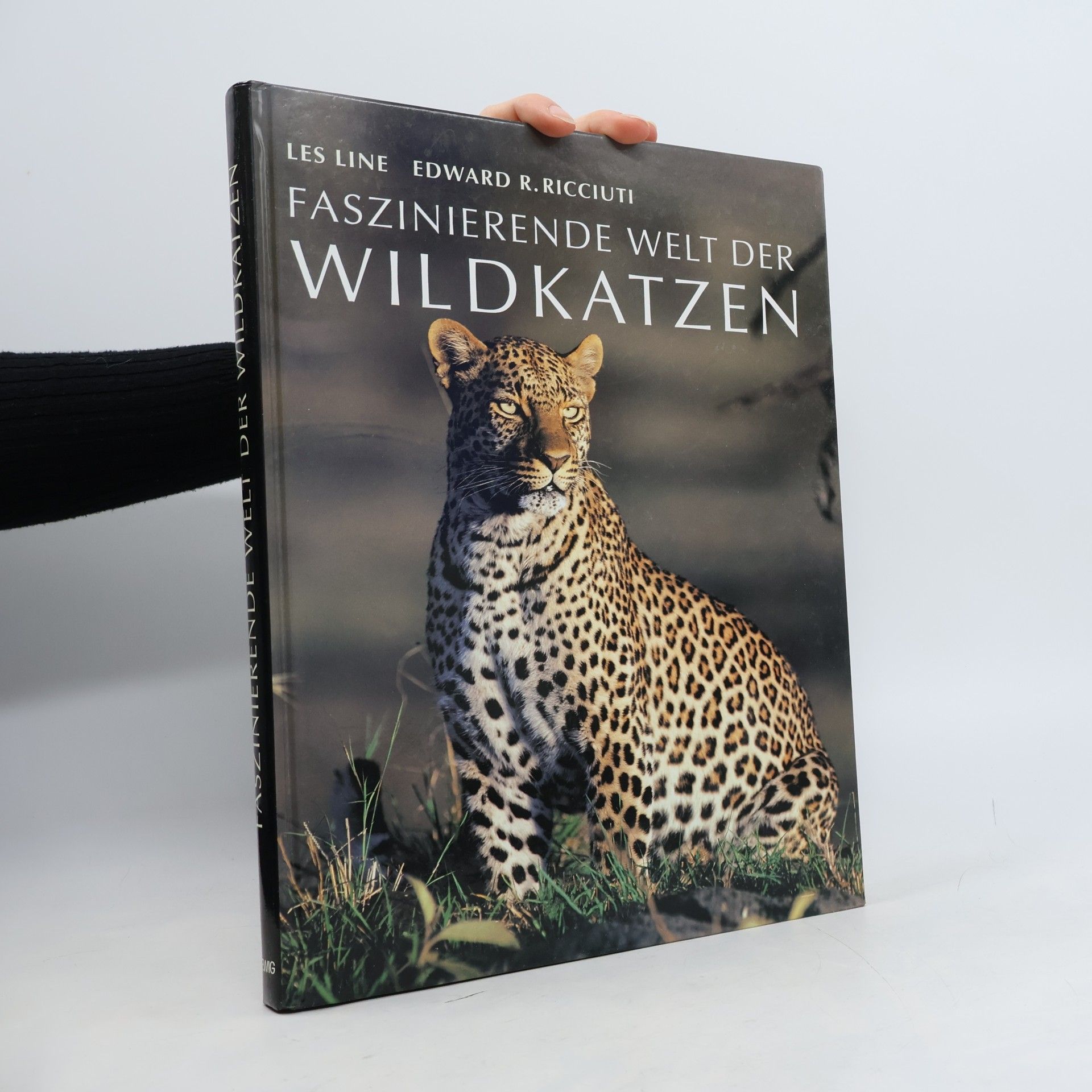 Faszinierende Welt der Wildkatzen