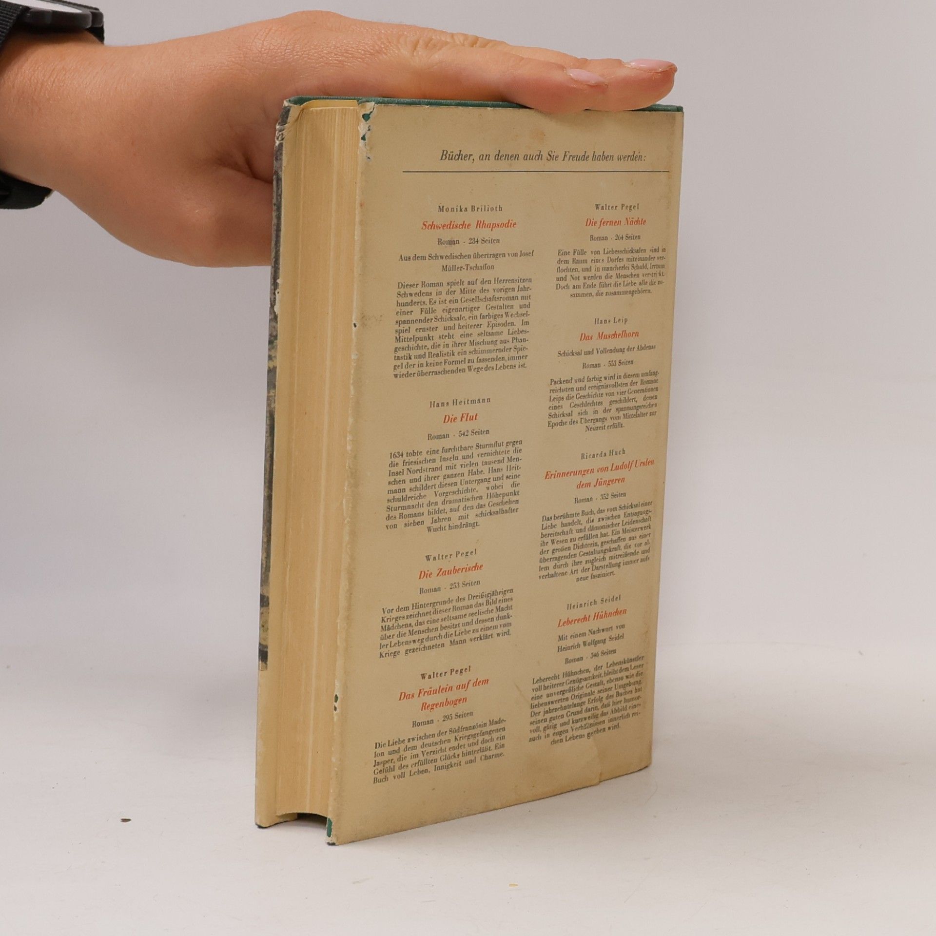 Hermann Sudermann Das Bilderbuch meiner Jugend