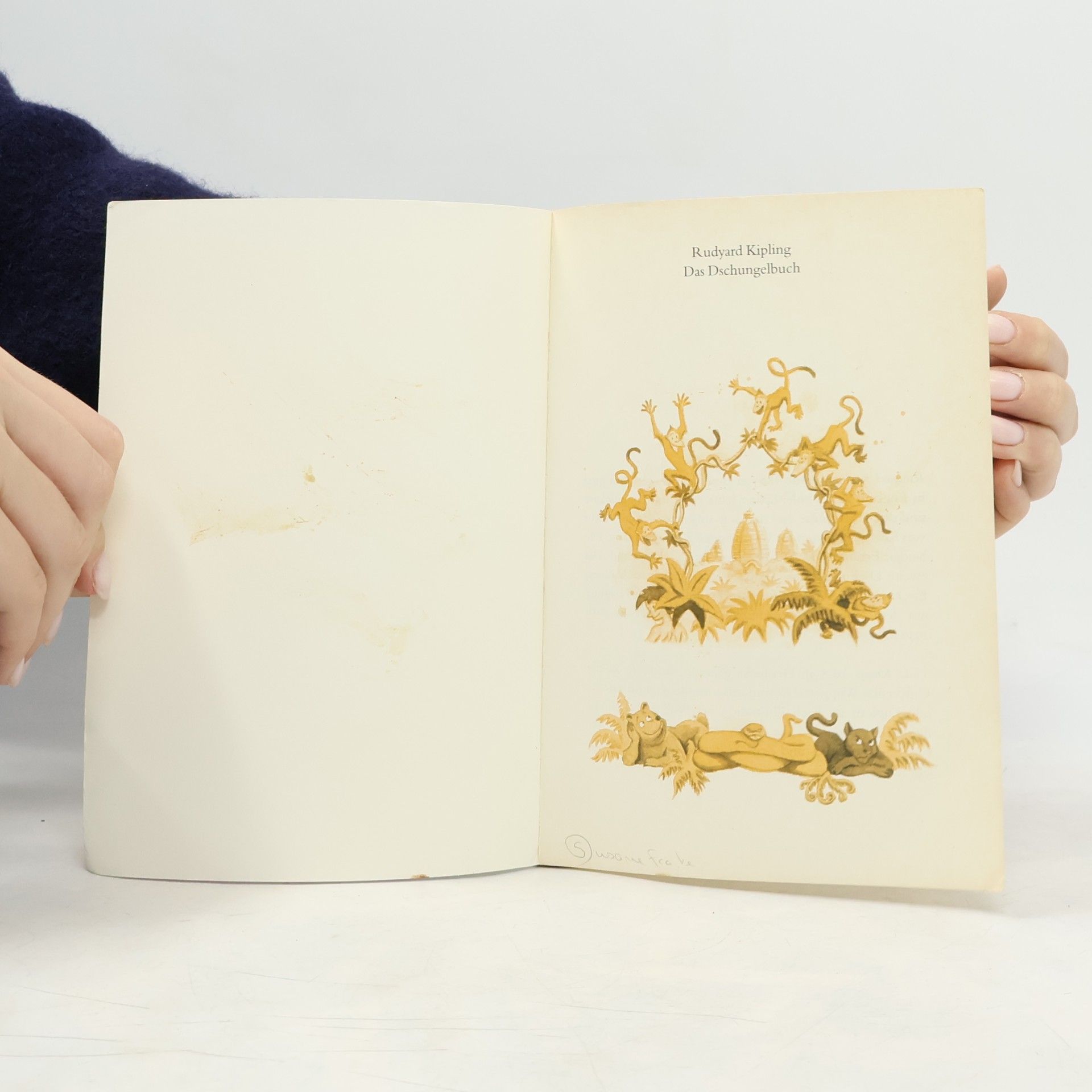 Rudyard Kipling Das Dschungelbuch
