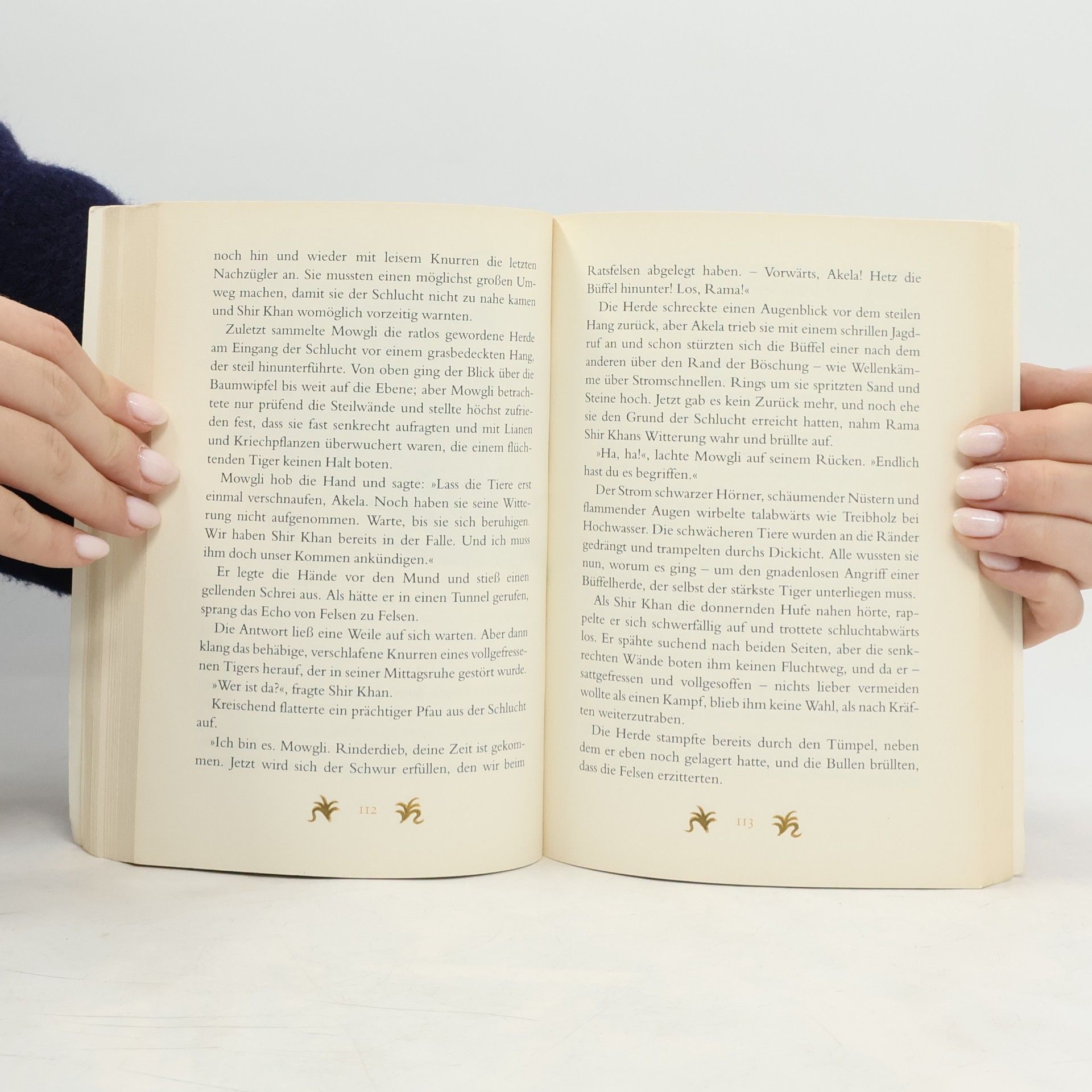 Rudyard Kipling Das Dschungelbuch