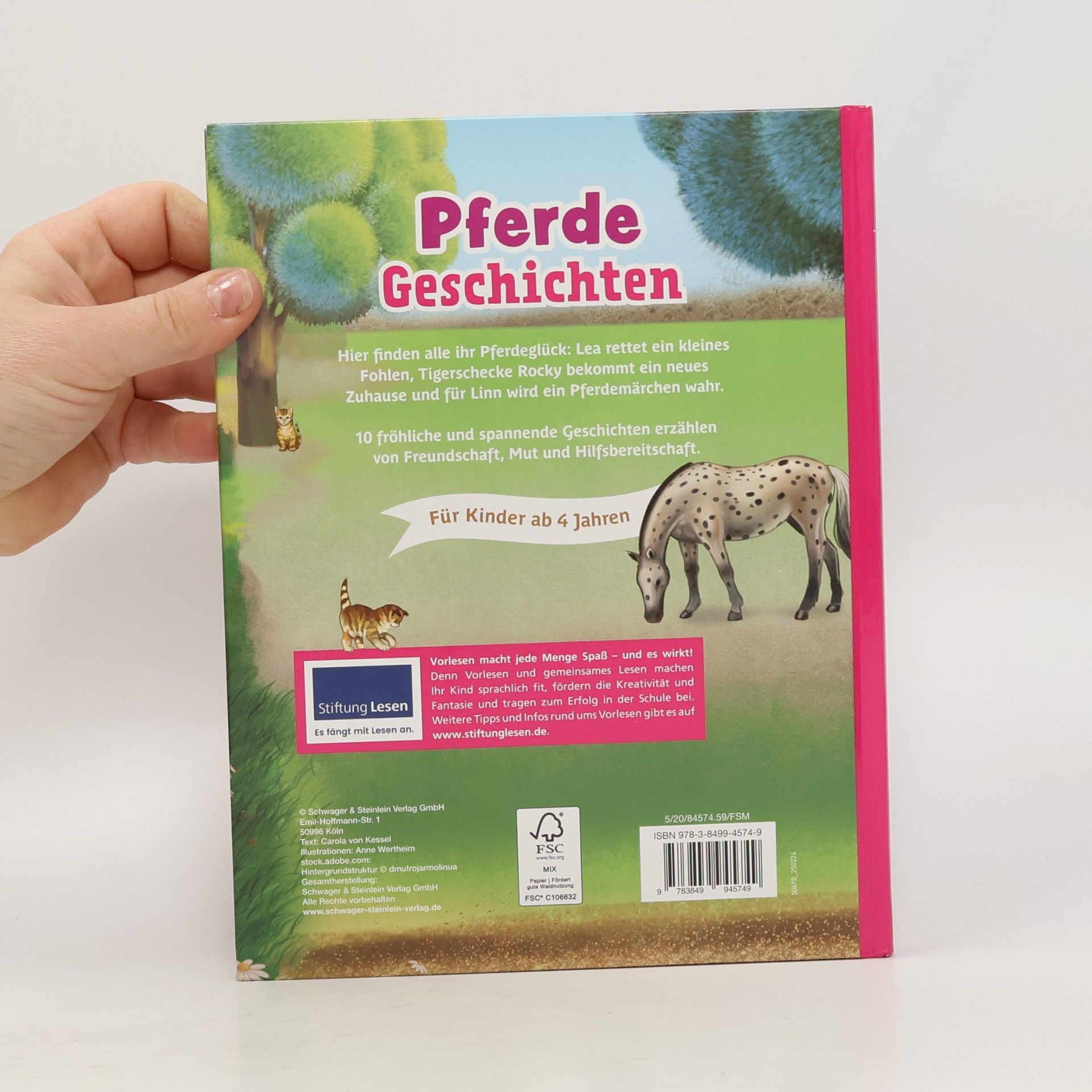 Carola von Kessel Pferde Geschichten. Zum gemeinsamen Lesen