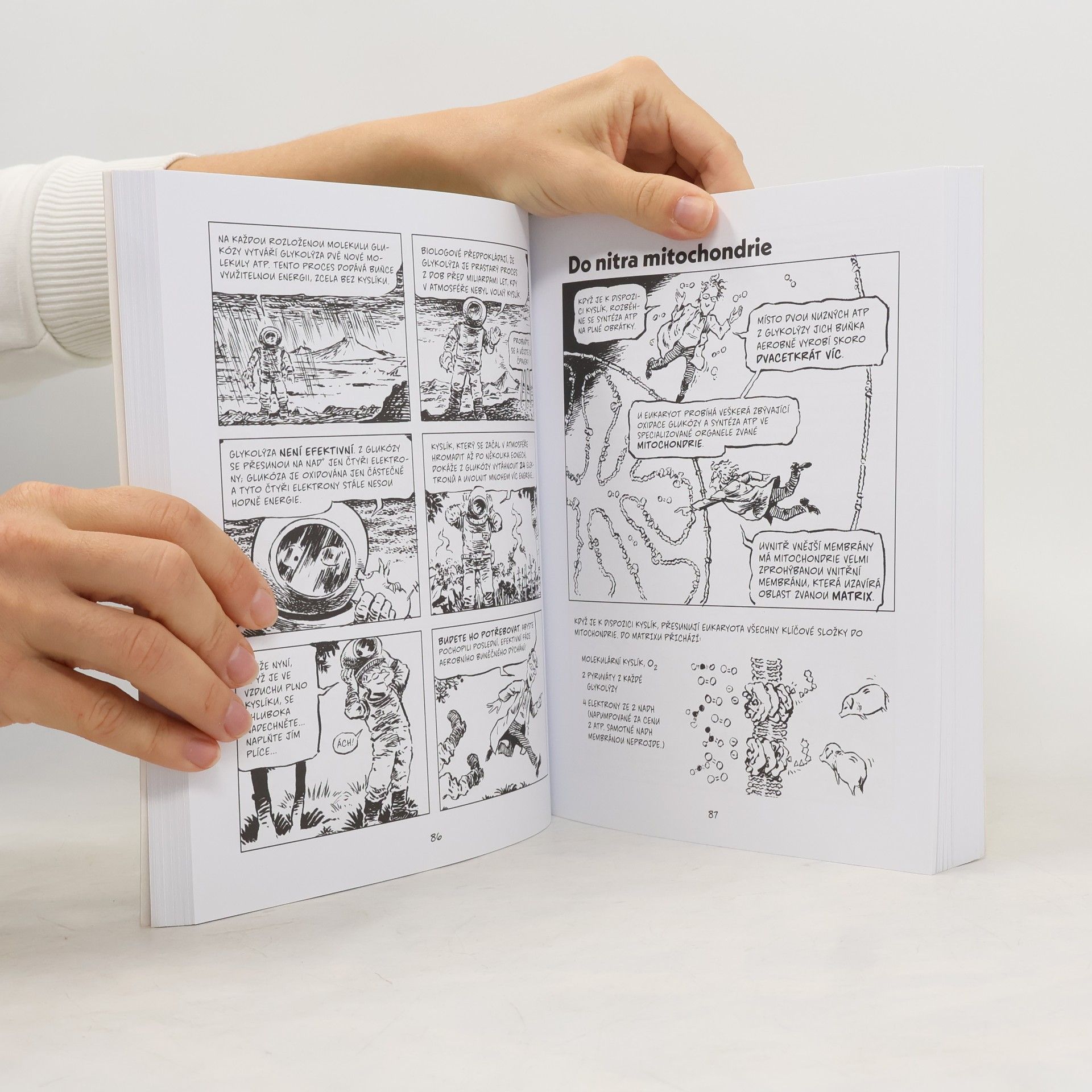 Larry Gonick Komiksová biologie