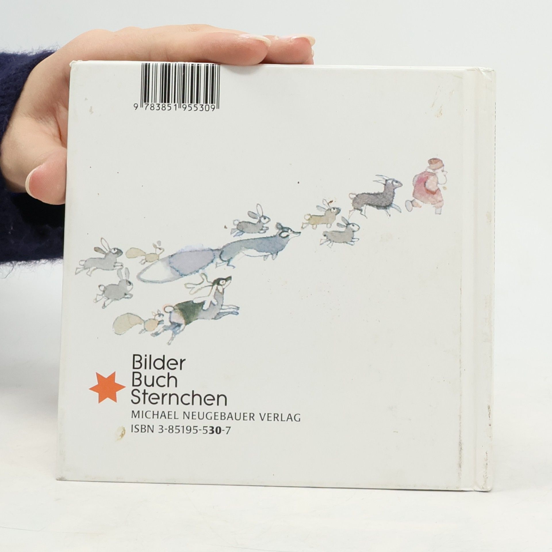 Hisako Aoki Die Weihnachtsgeschichte, erzählt vom Weihnachtsmann