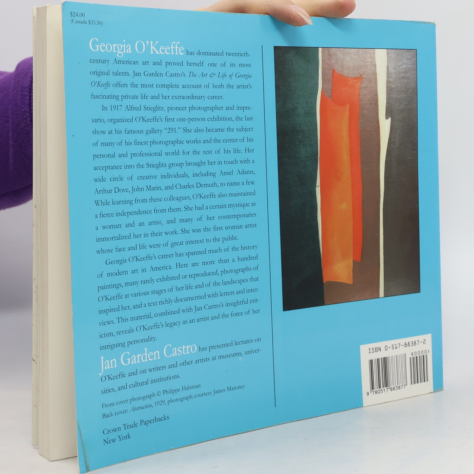 Jan Garden Castro The Art & Life of Georgia O'Keeffe