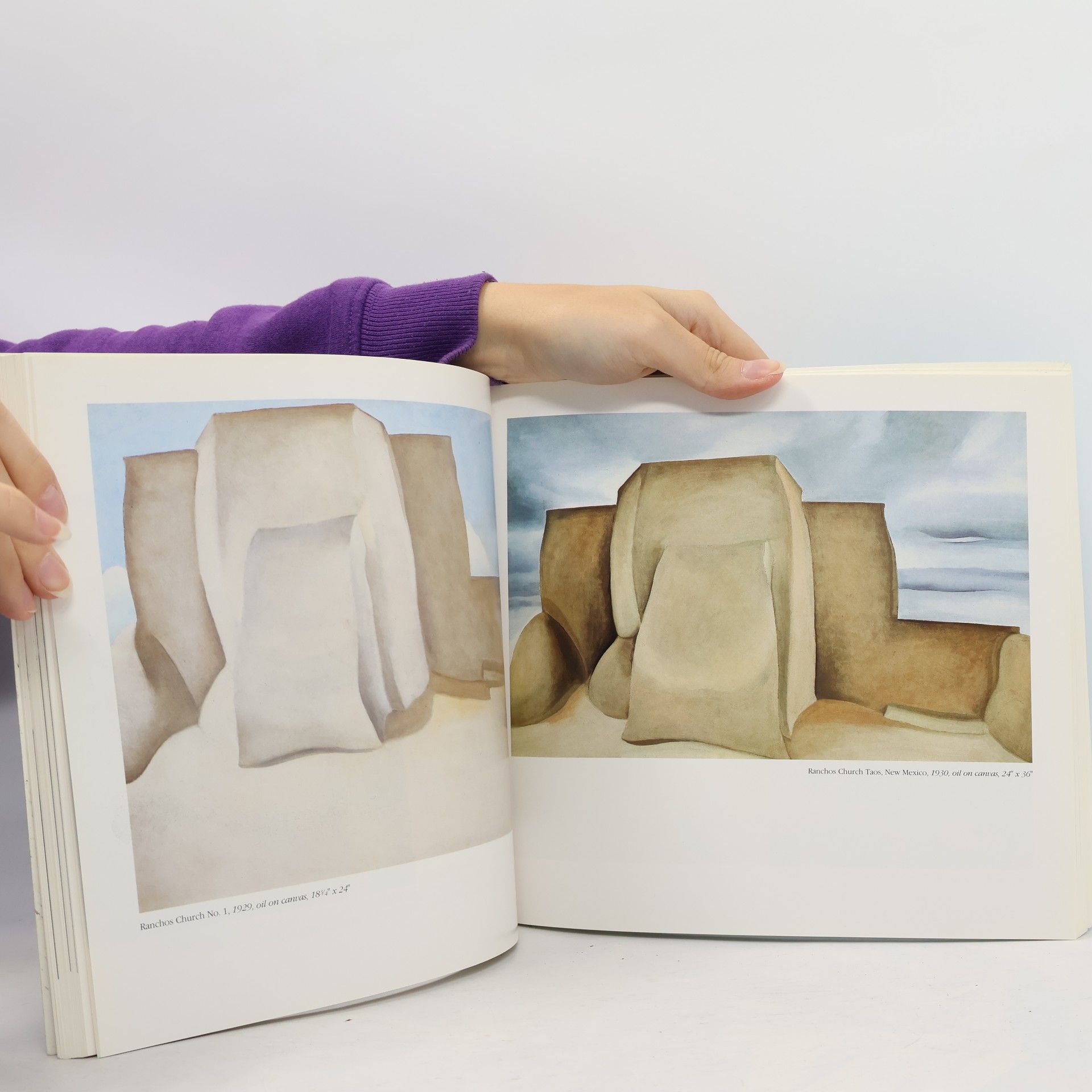 Jan Garden Castro The Art & Life of Georgia O'Keeffe