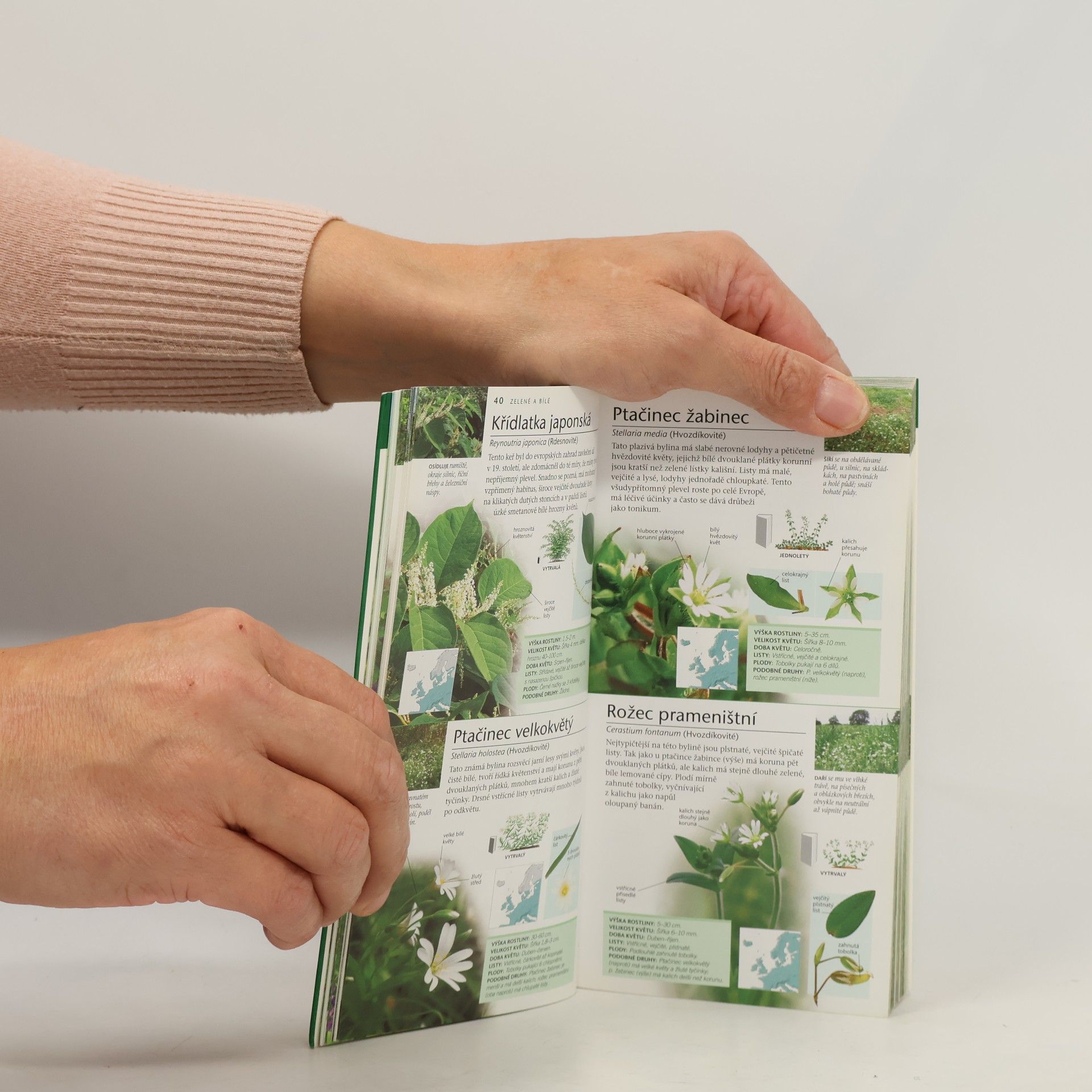 Neil Fletcher Divoké květiny : nový kapesní atlas