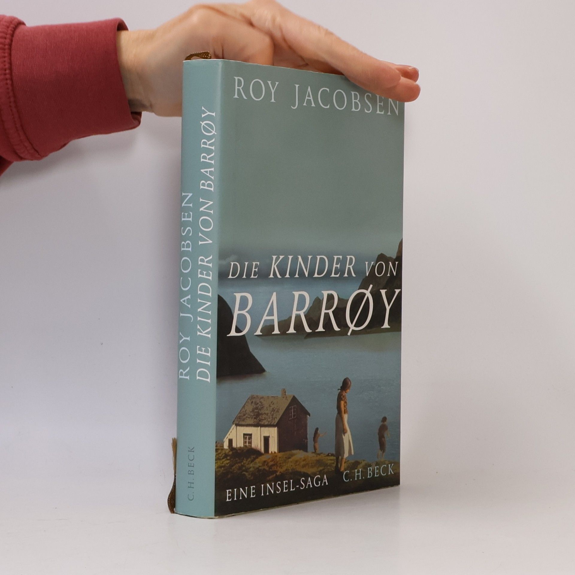 Die Kinder von Barrøy