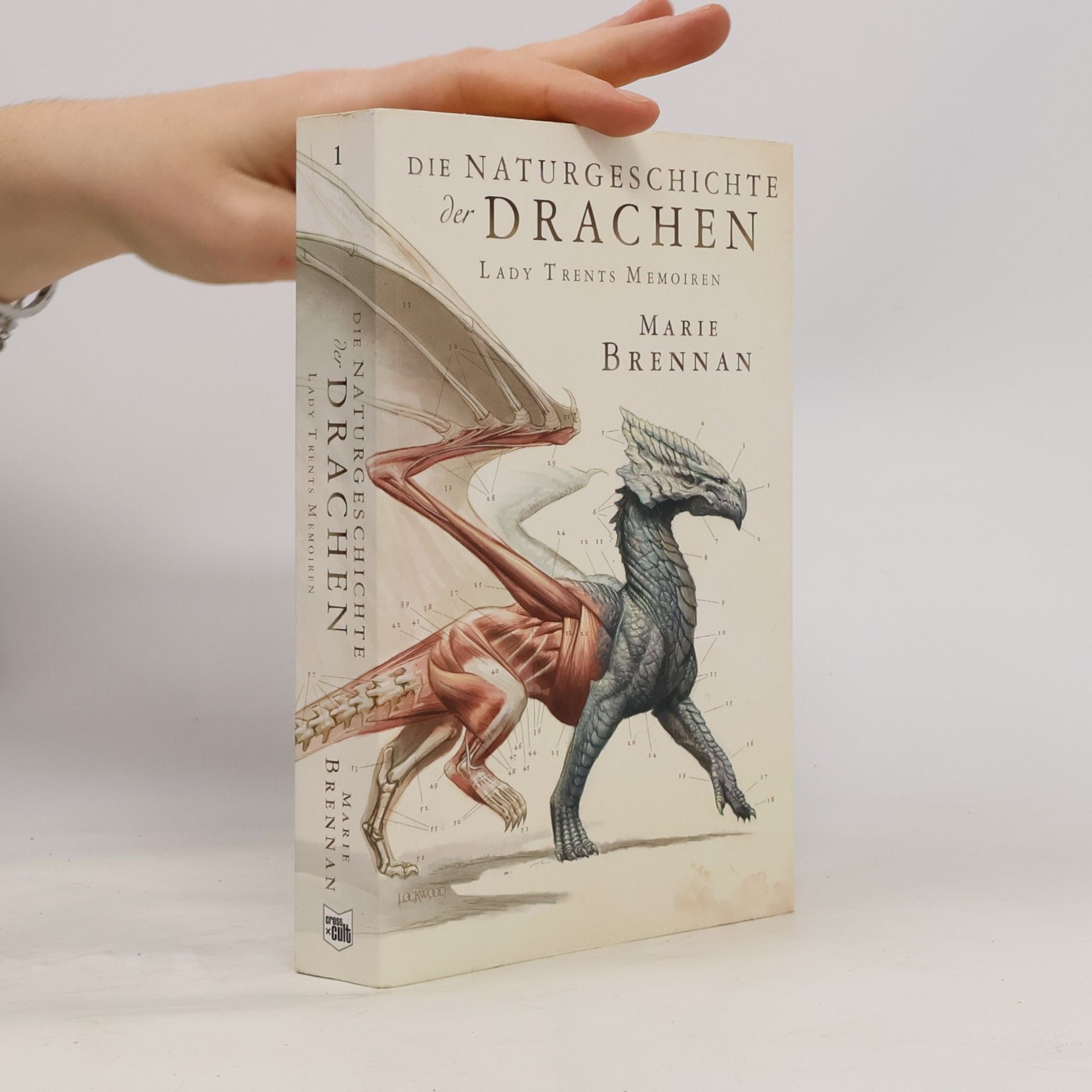 Die Naturgeschichte der Drachen