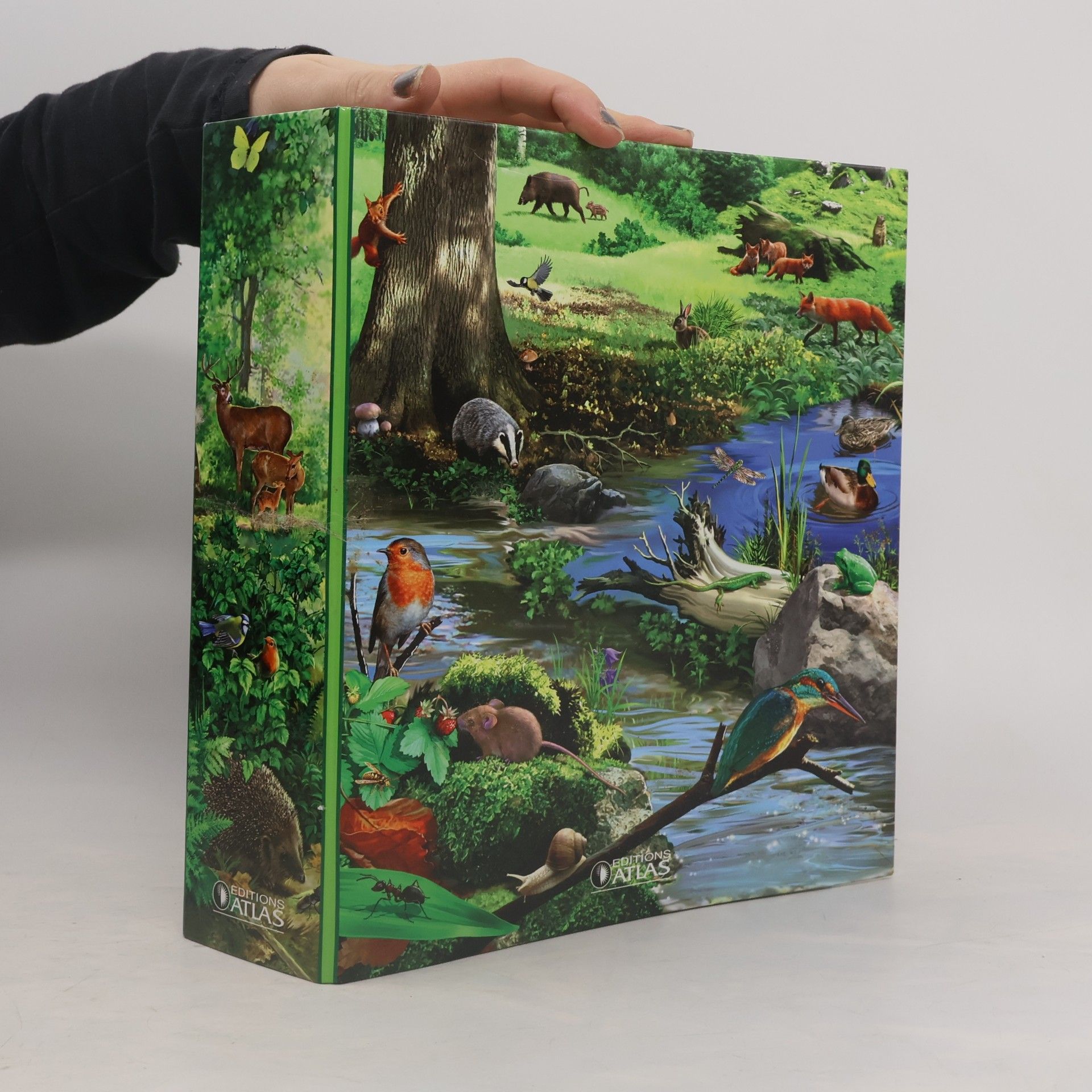 Encyclopedic Card System