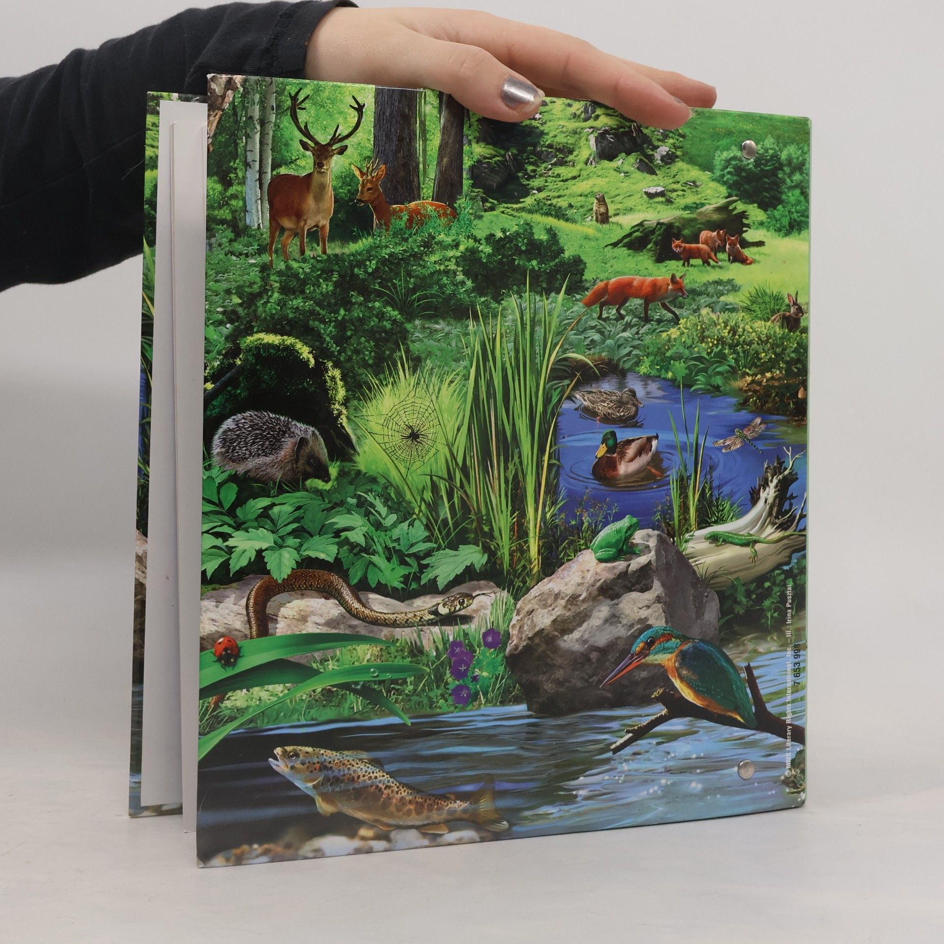 Benoit Charles Encyclopedic Card System