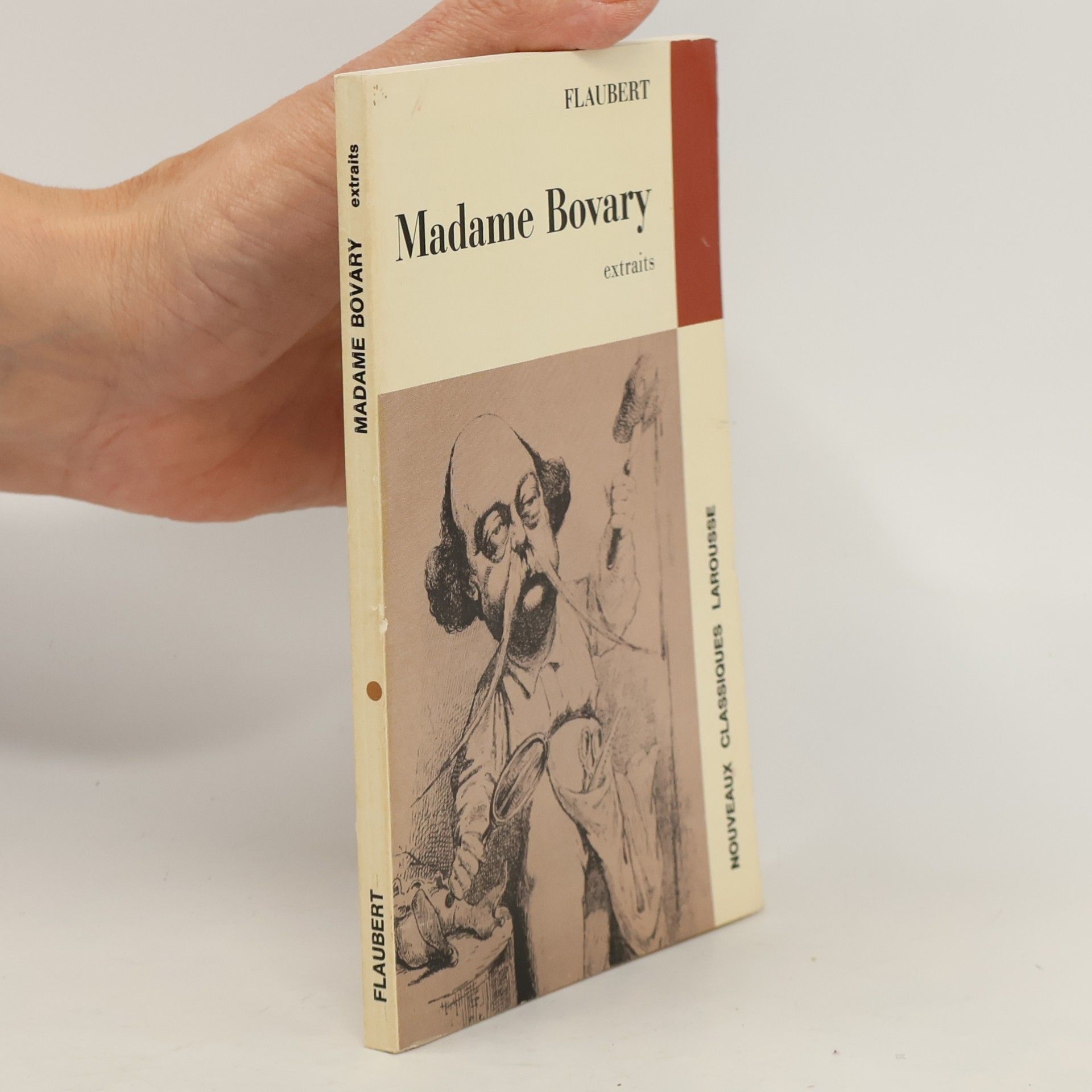 Gustave Flaubert Madame Bovary : extraits