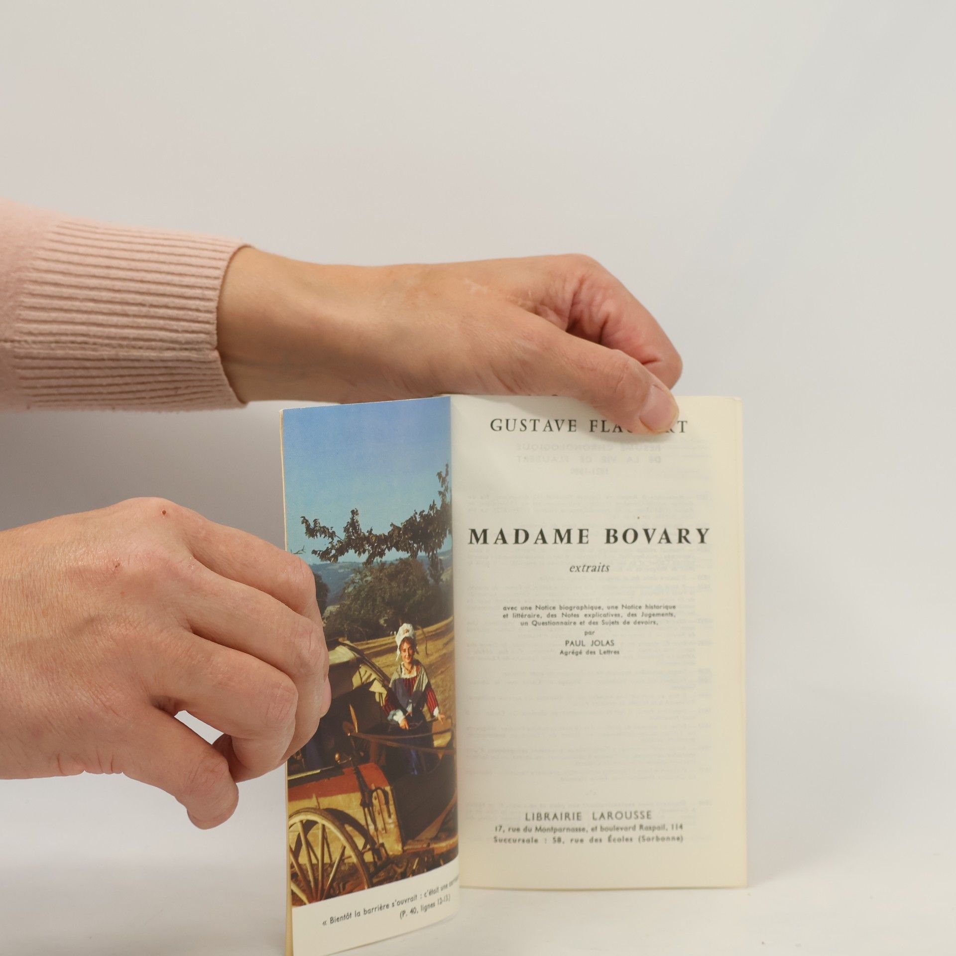 Gustave Flaubert Madame Bovary : extraits