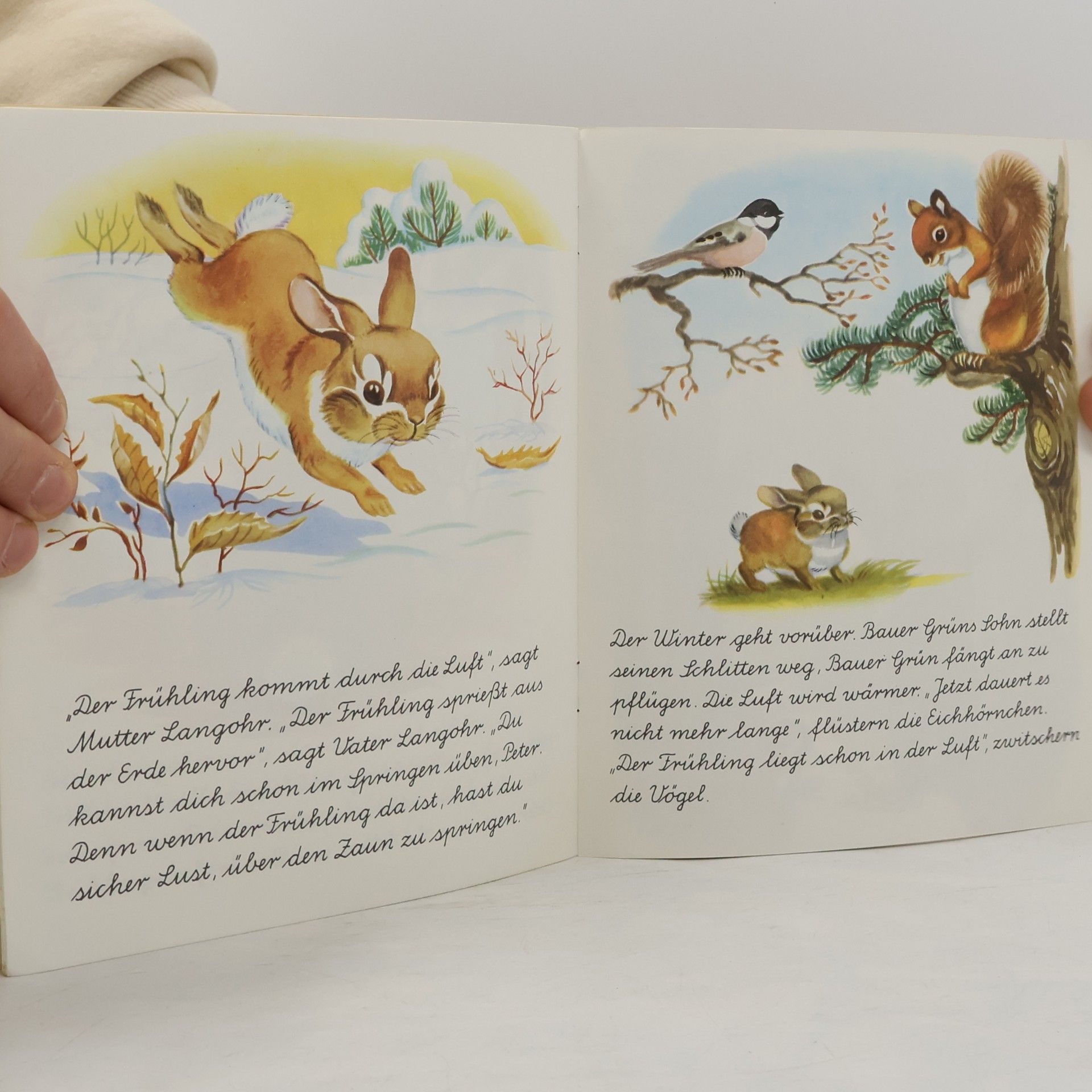 Jean Fritz Ein Wunder Buch - 17: Peter Langohrs erster Frühling